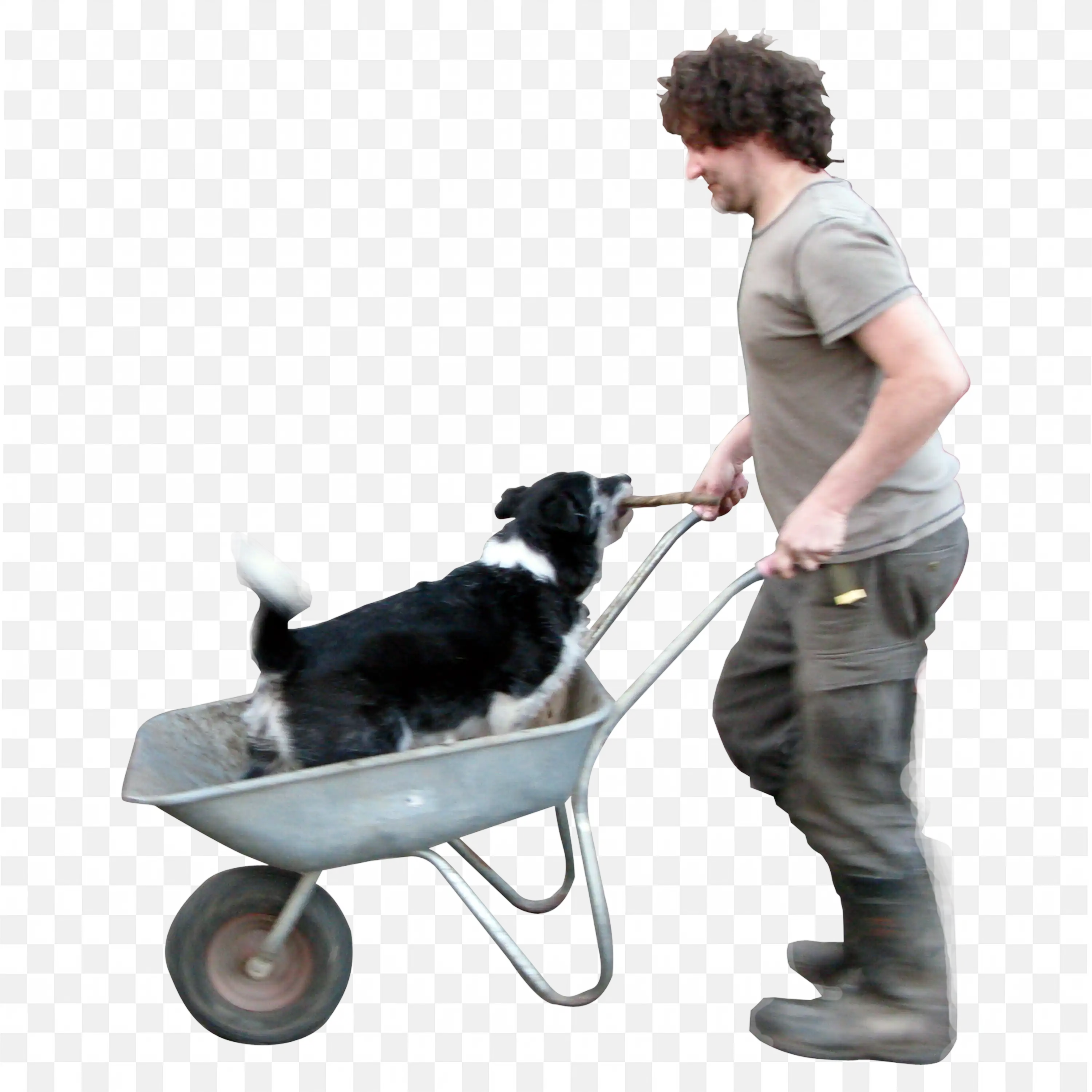 Man in Casual Wear Pushing Dog in Wheelbarrow Outside Png