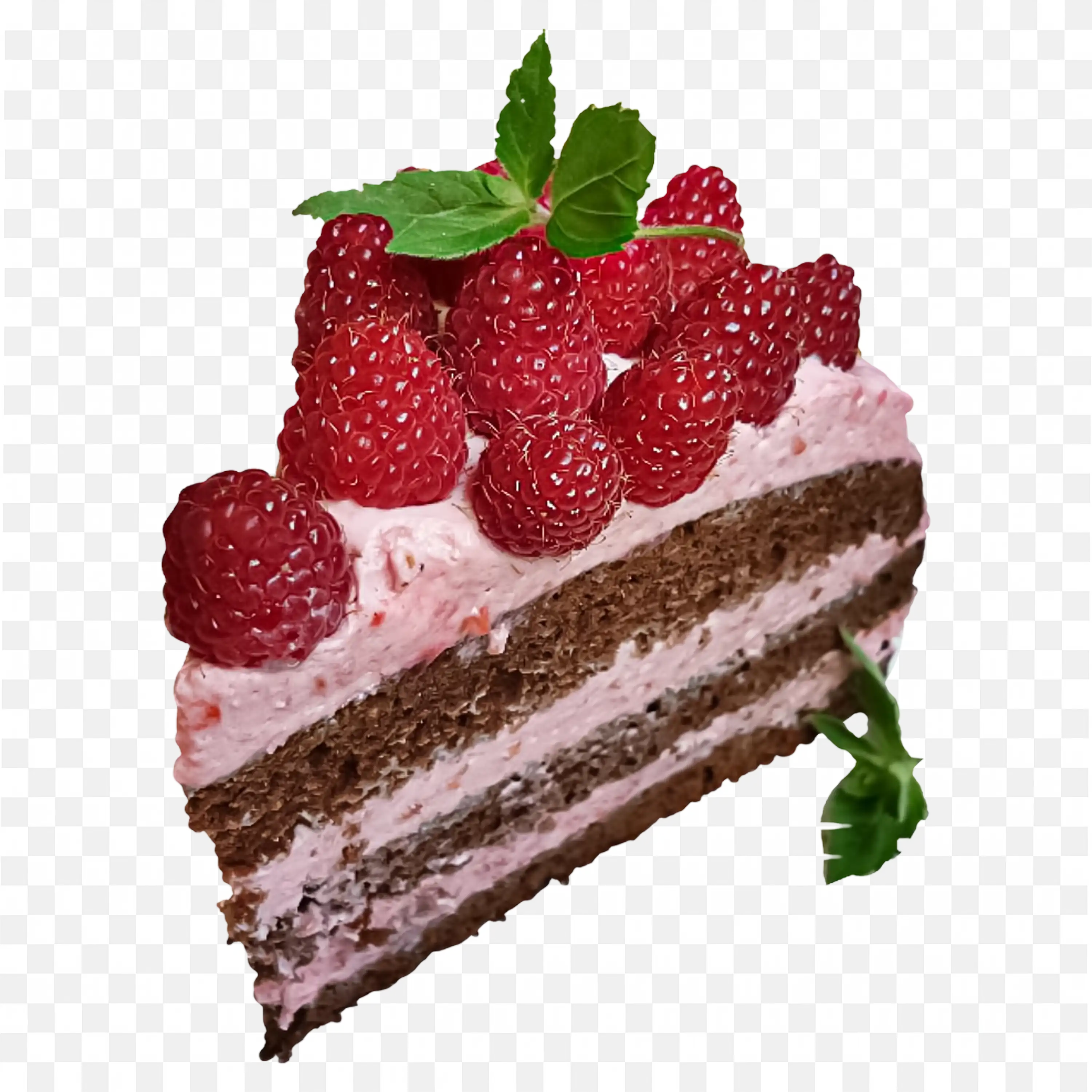 Chocolate Raspberry Cake Slice with Cream and Fresh Mint