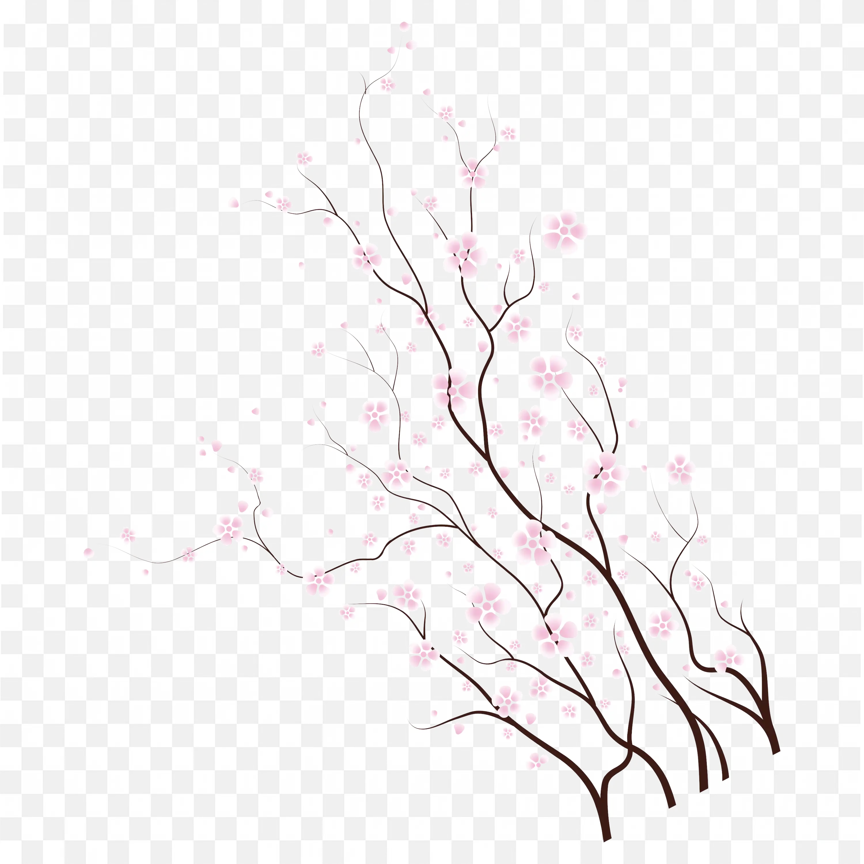 Bare Tree Branch Frame with Soft Pink Spring Blossom Style