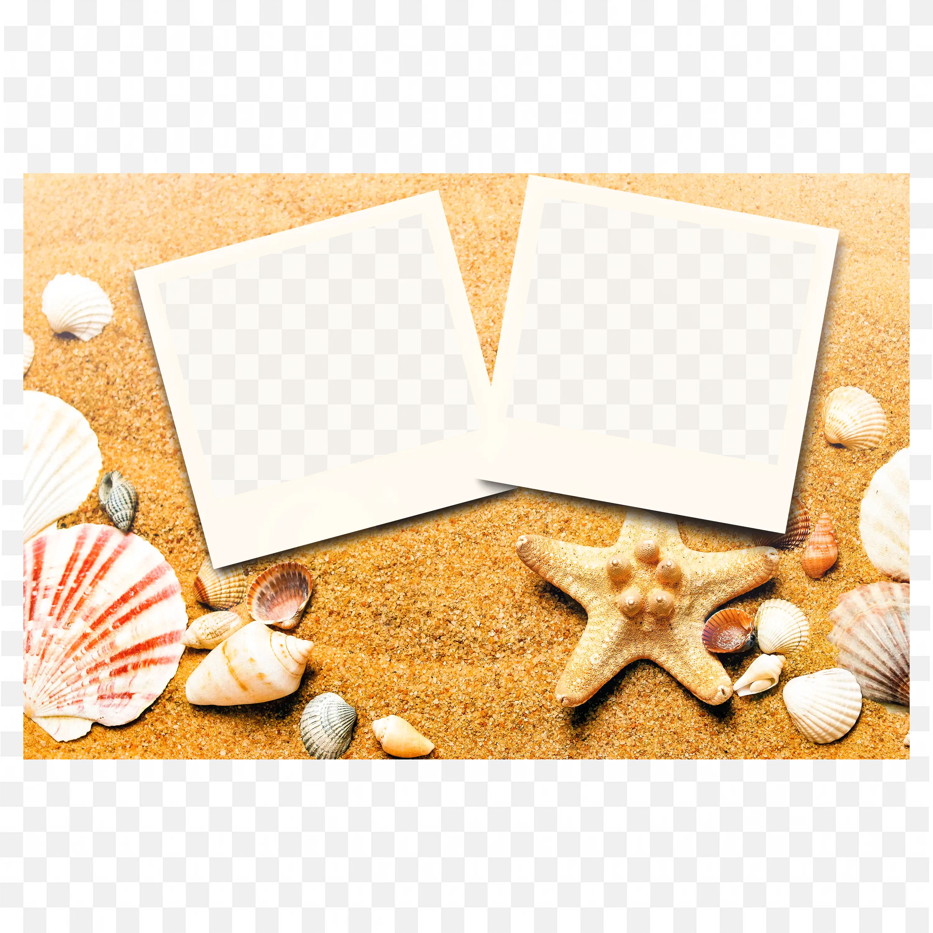 Beach Shells and Card Photo Frame with Sandy Background