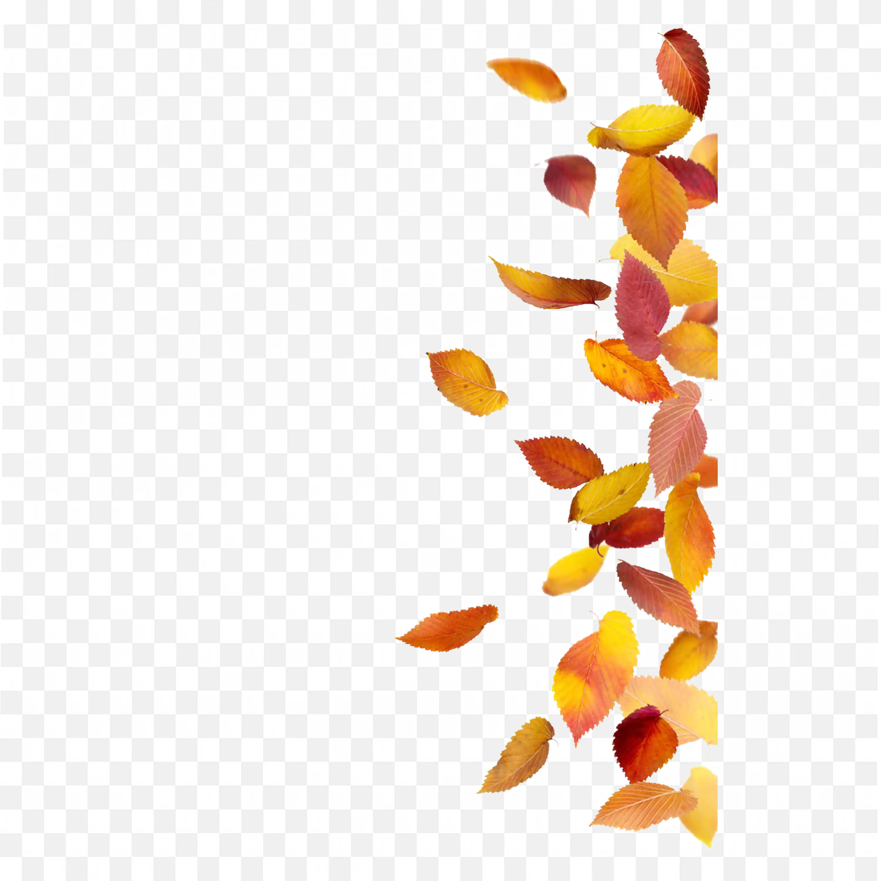 Falling Leaves Border Frame in Vertical Autumn Design