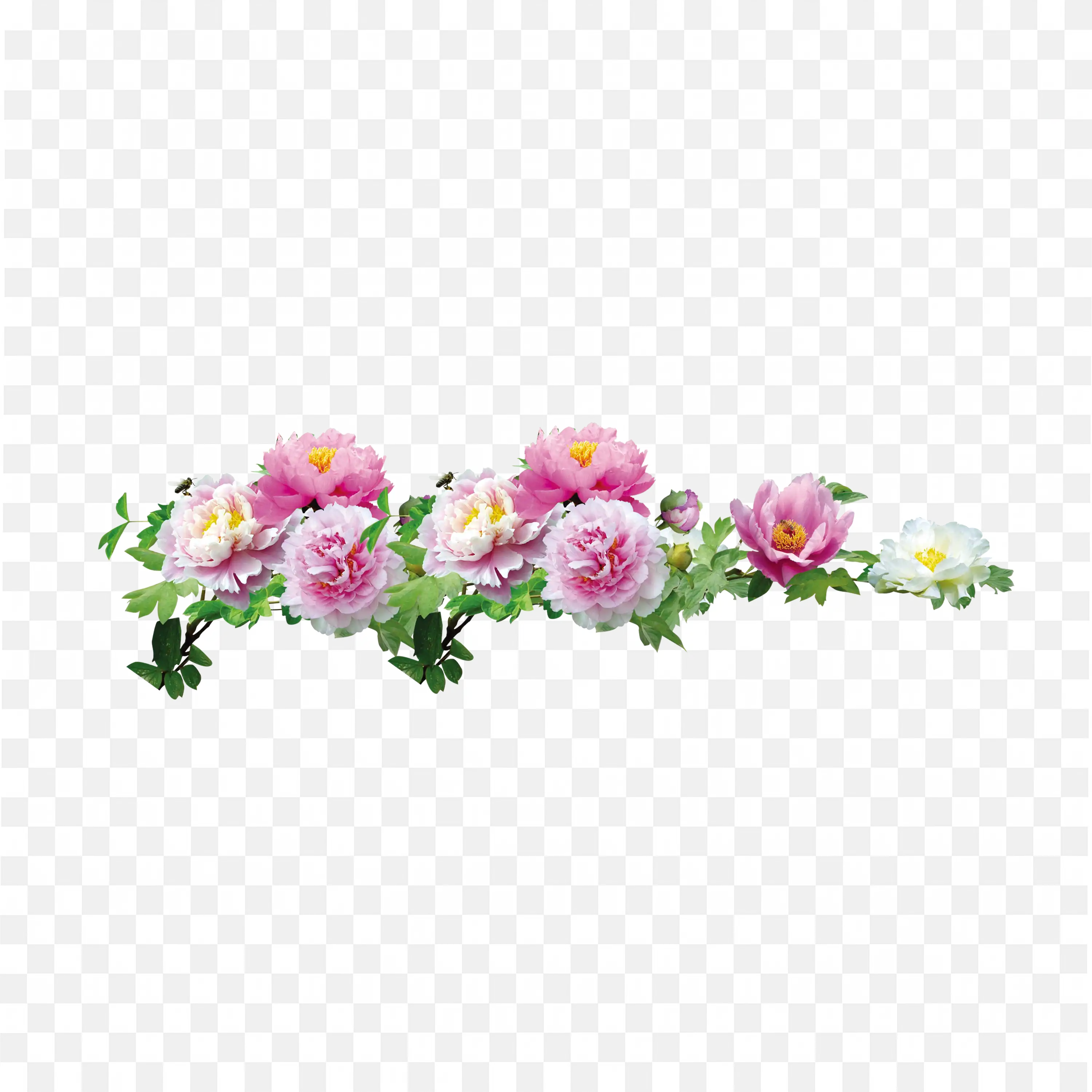 Floral Border Frame with Pink Peony and Green Leaves Png