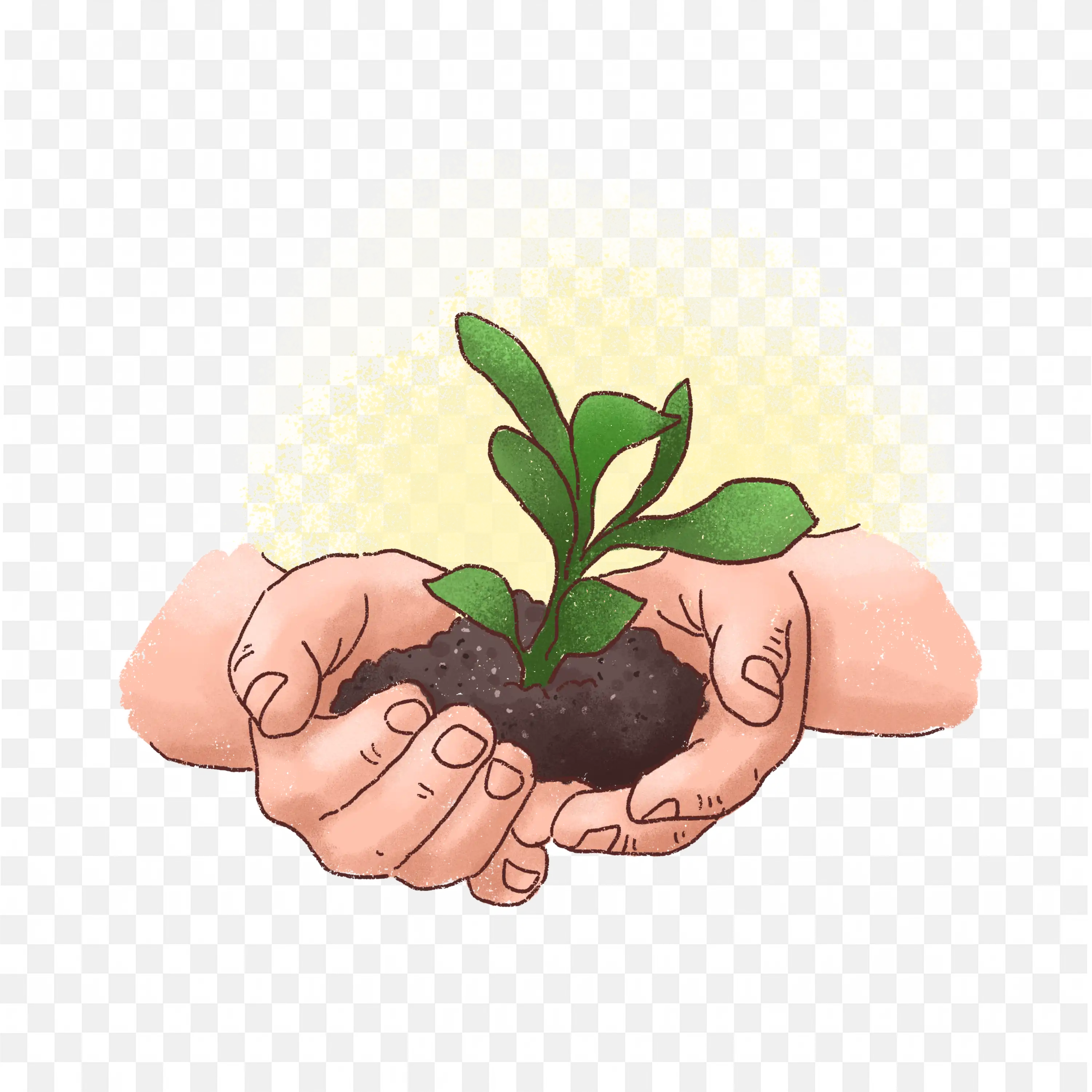 Hands Holding Green Plant Eco Friendly Growth Frame Png