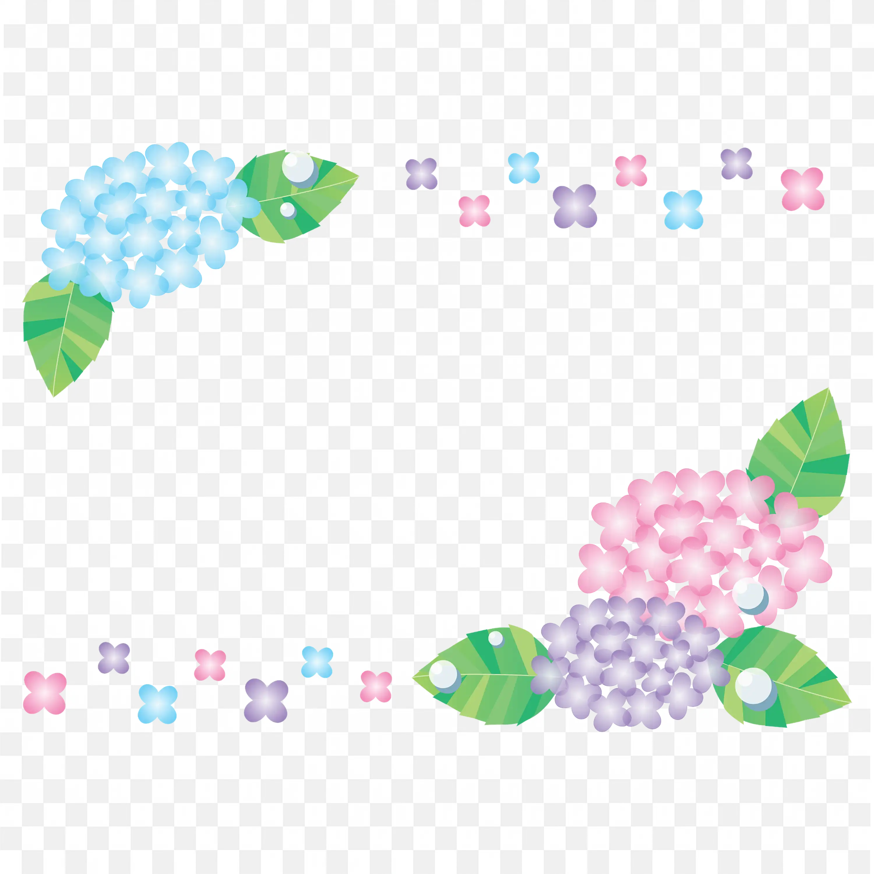 Hydrangea Flowers and Leaves Elegant Border Frame Png