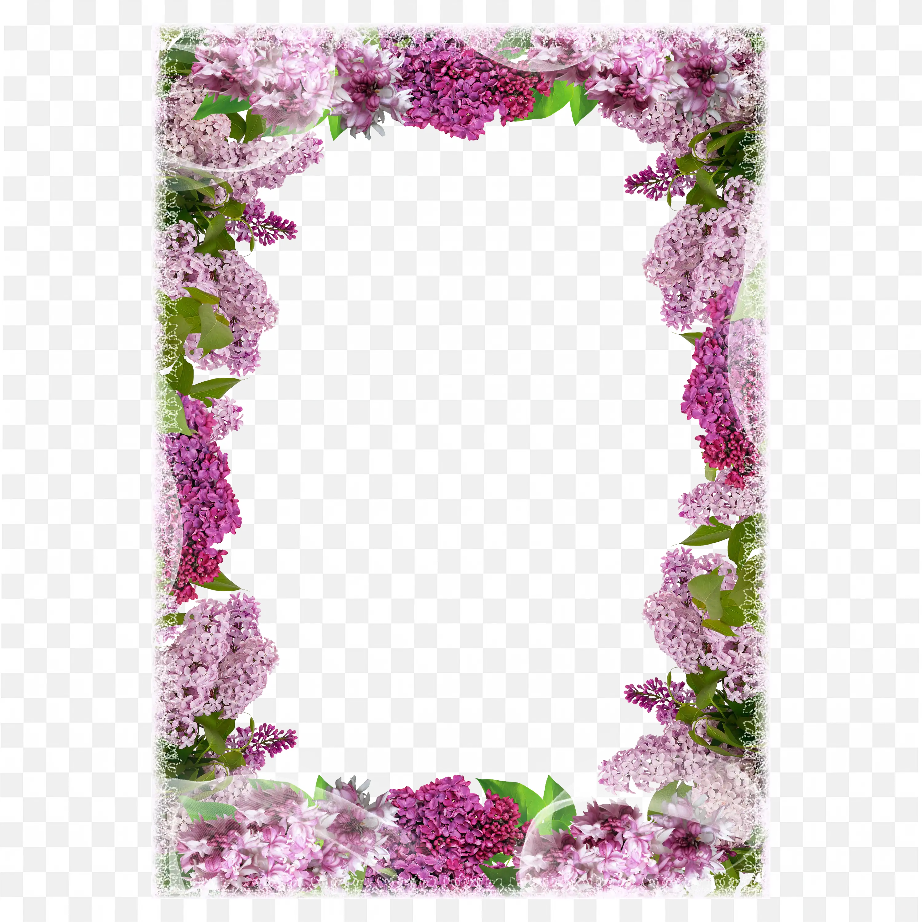 Pink Flower Climbing Vine Frame with White Background