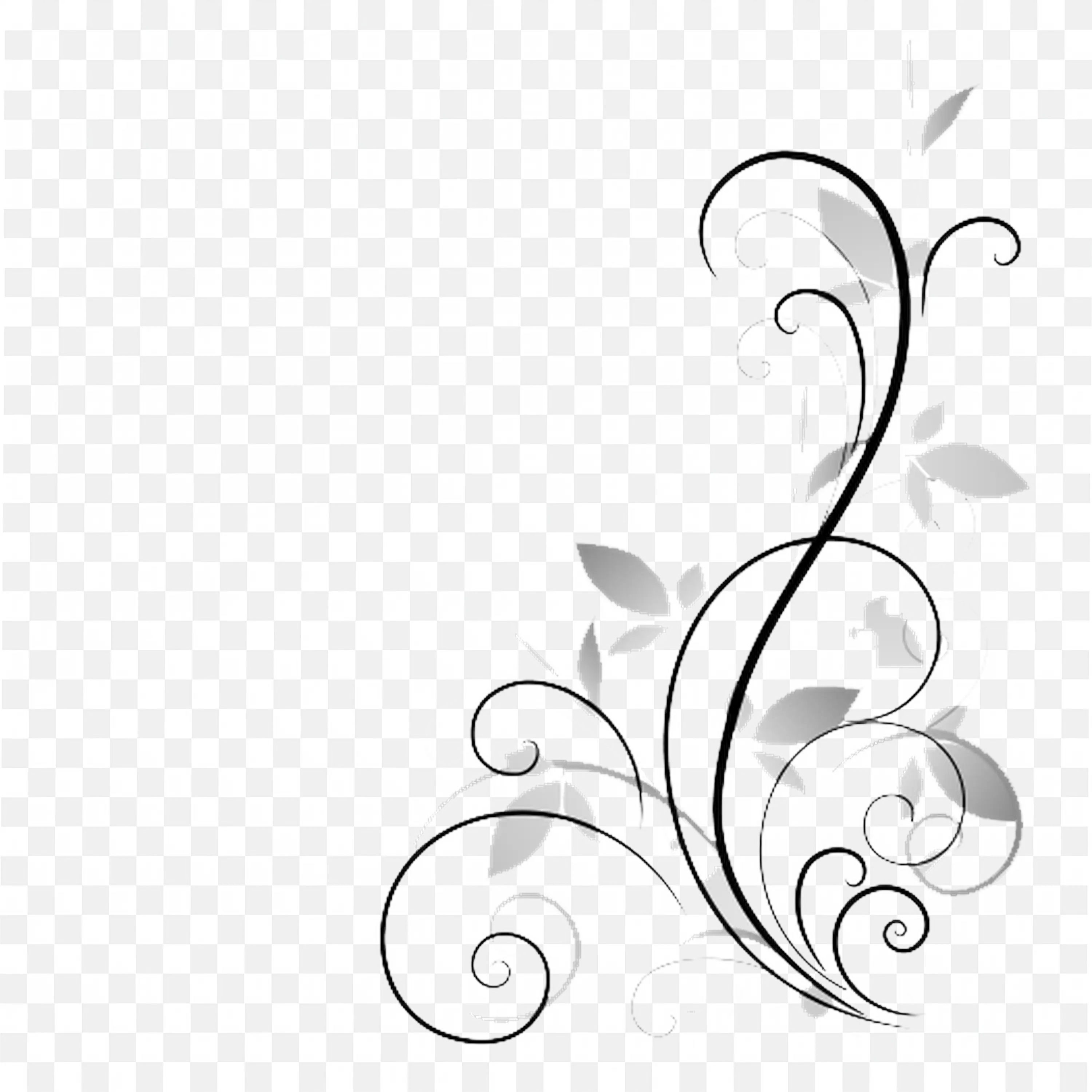 Simple Swirl Black and White Corner Frame Line Art Png