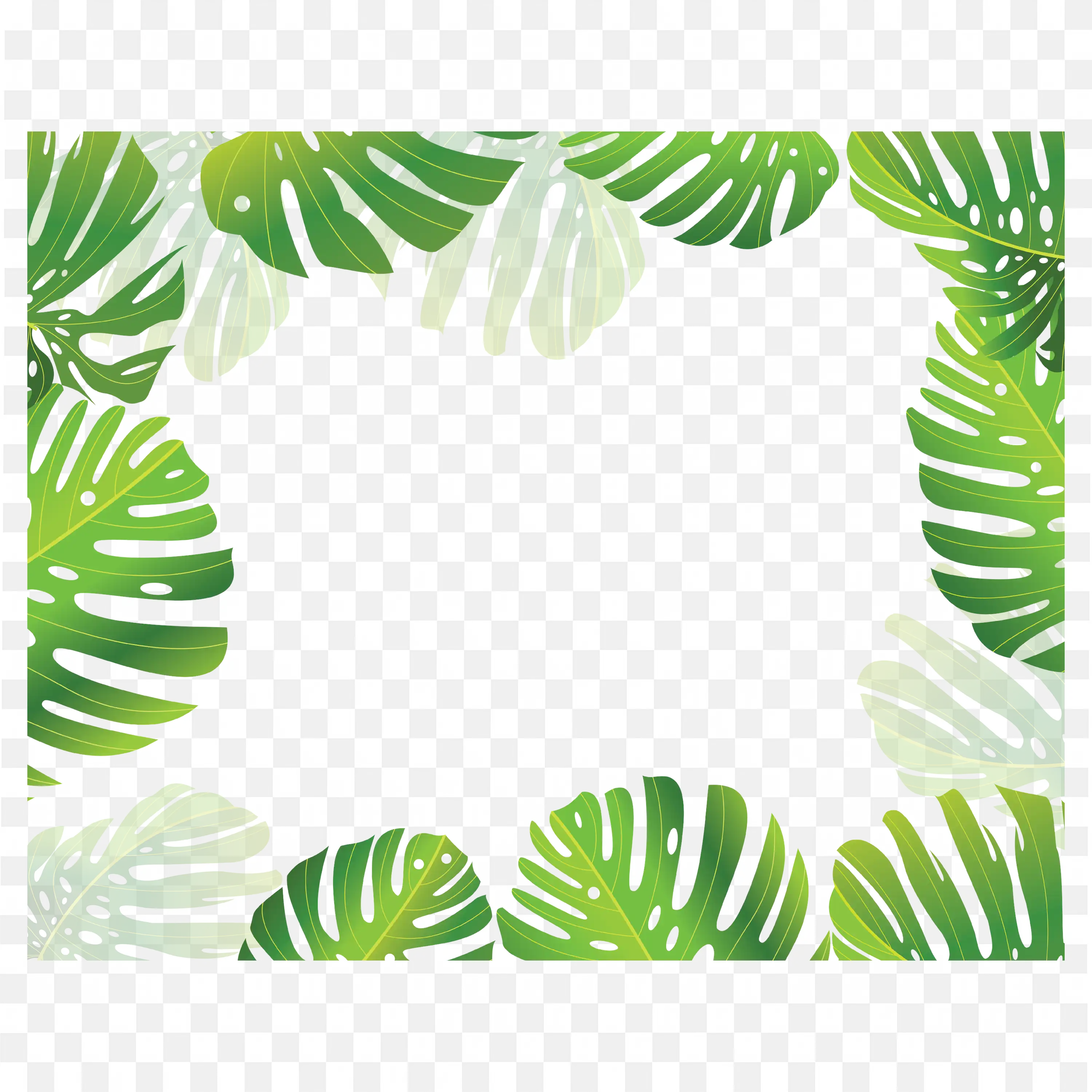 Tropical Green Leaves Border Frame with White Center Png