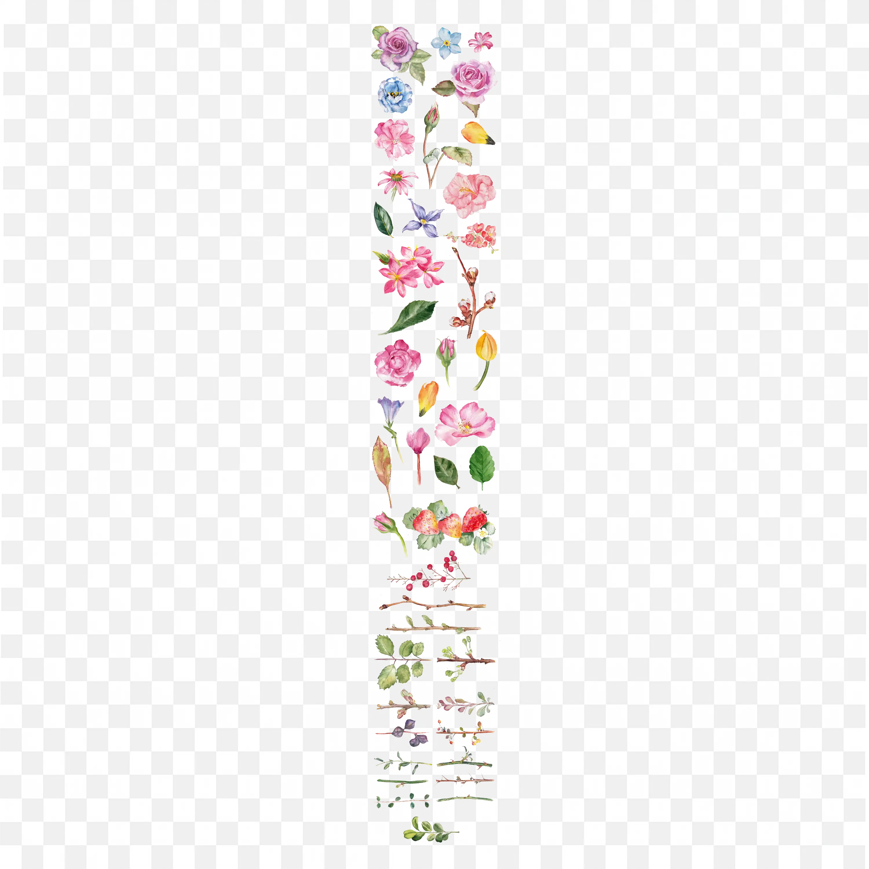 Vertical Watercolor Floral Elements Botanical Clipart Collection