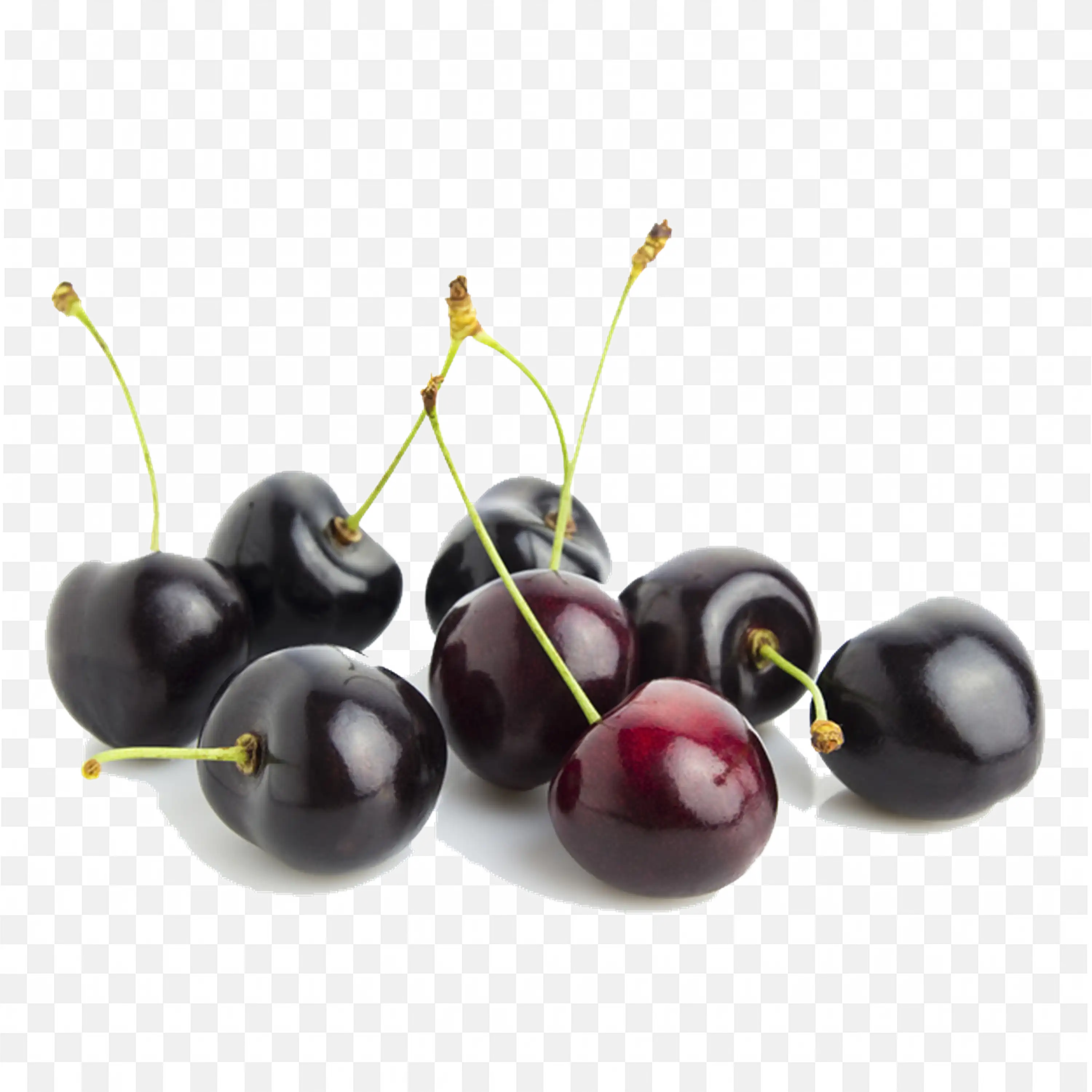 Black Cherries with Stems On a White Background Free Png