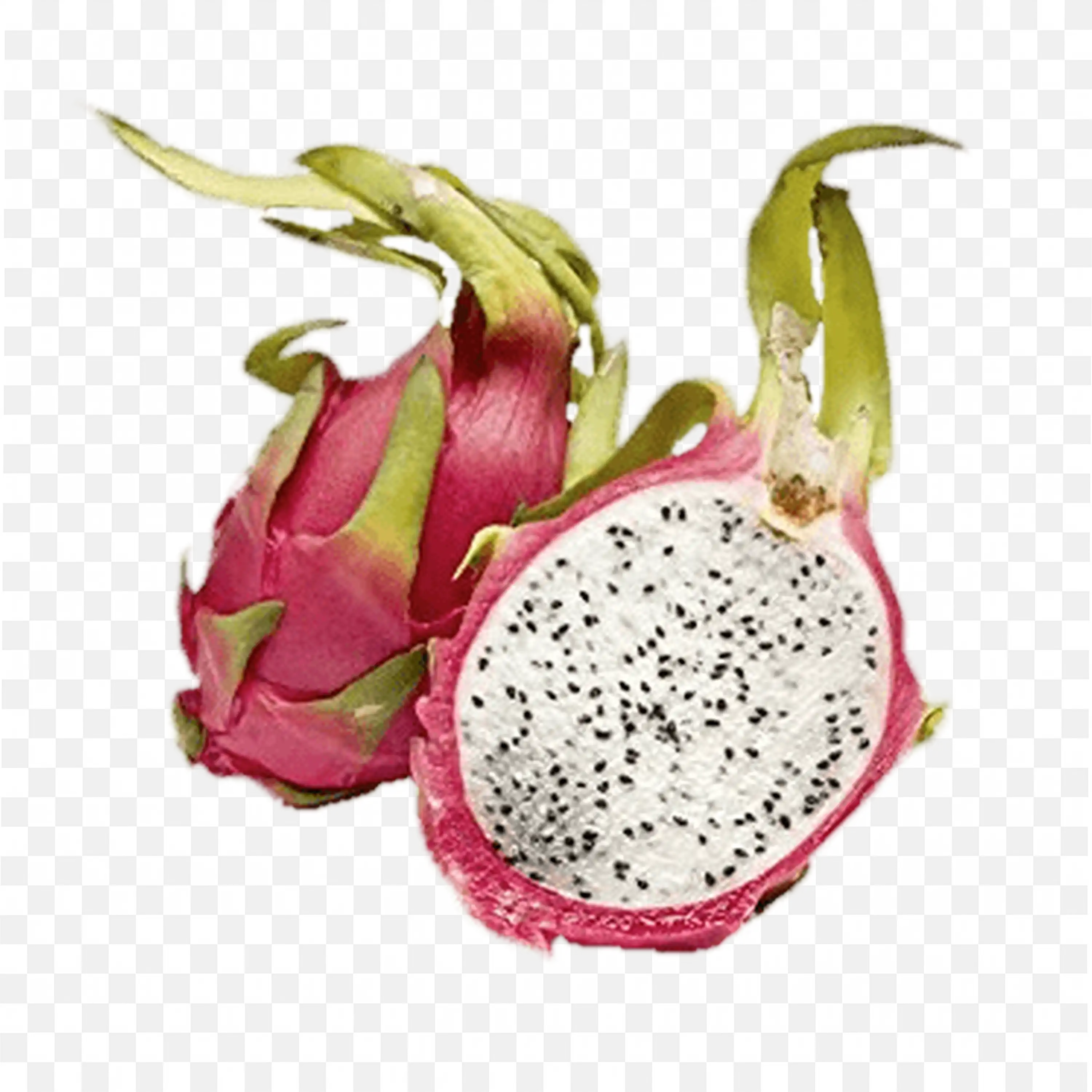 Bold Pink Dragon Fruit with White Pulp and Seeds Free Png