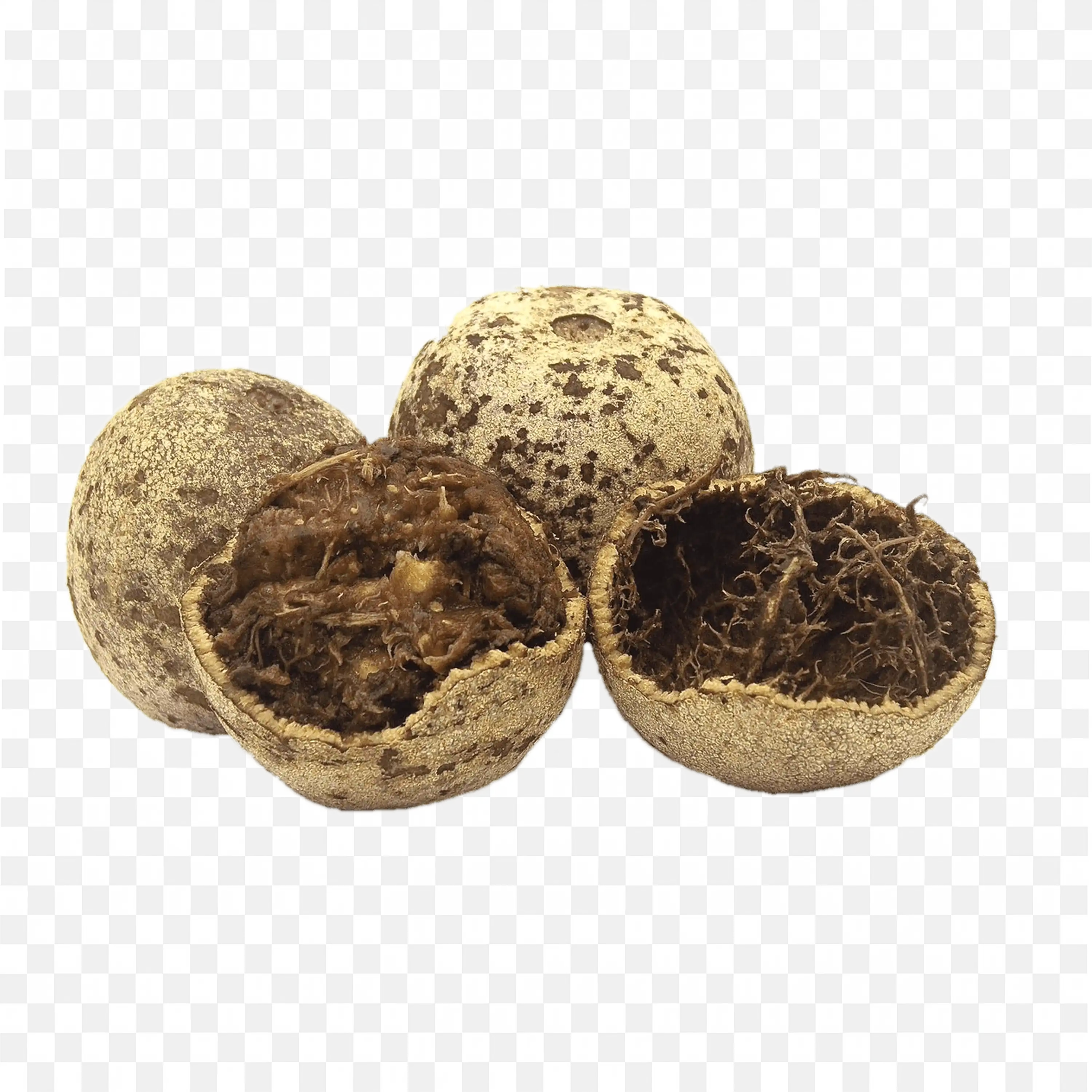 Brown Round Cracked Nutmeg Fruit with Brown Inner Seed Png