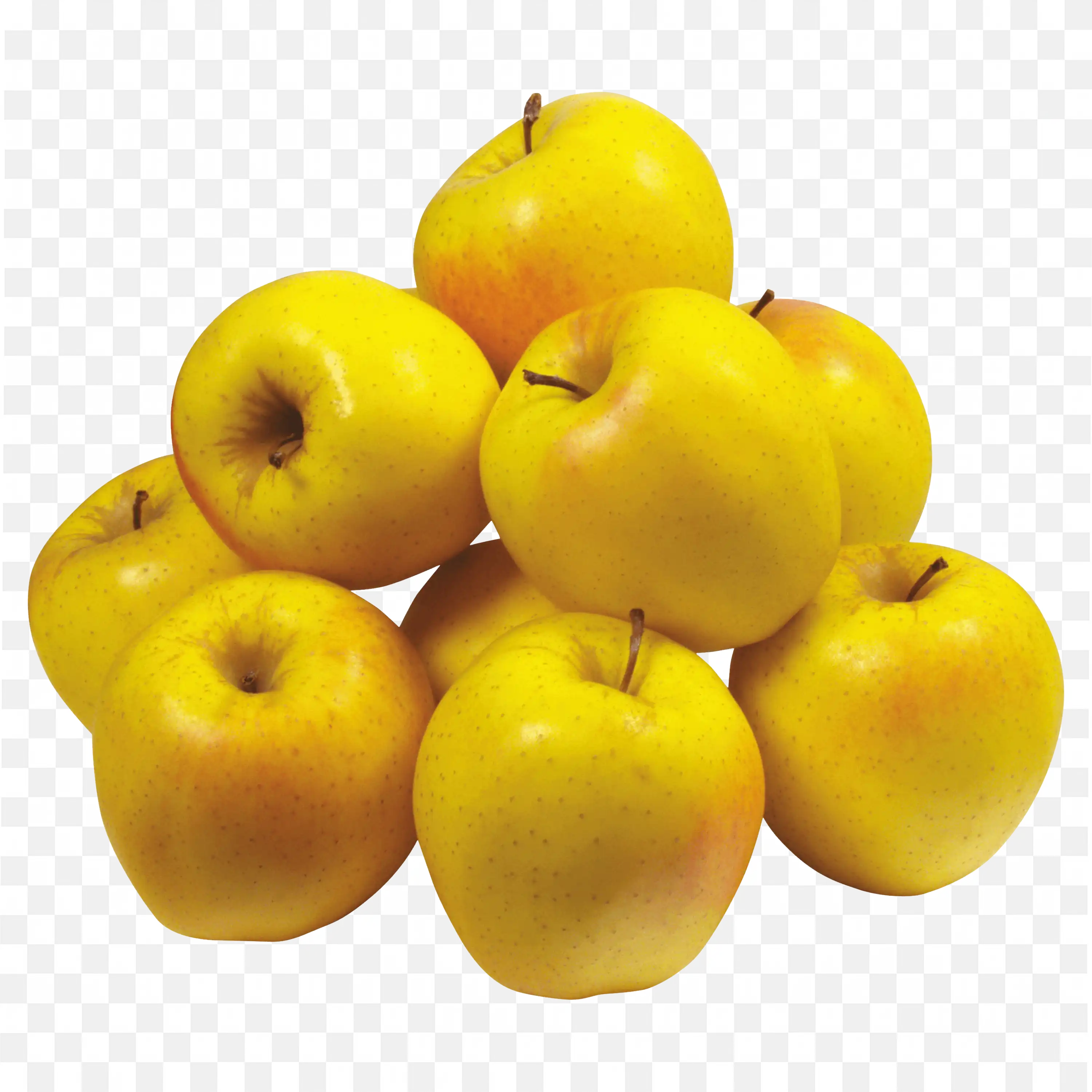 Cluster of Bright Yellow Apples Gather Together For Harvest