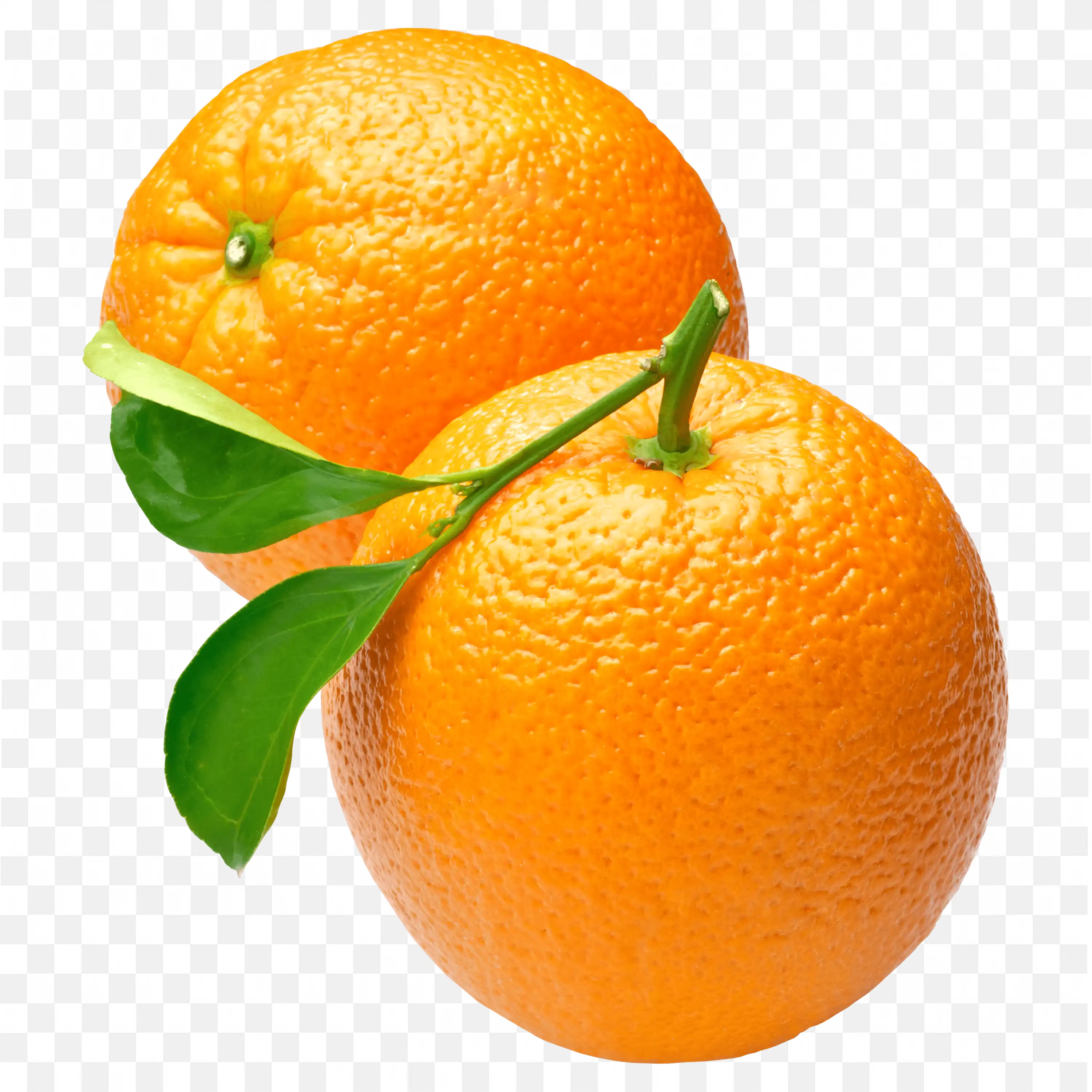 Colourful Bold Orange with Green Leaves Attached Png Free