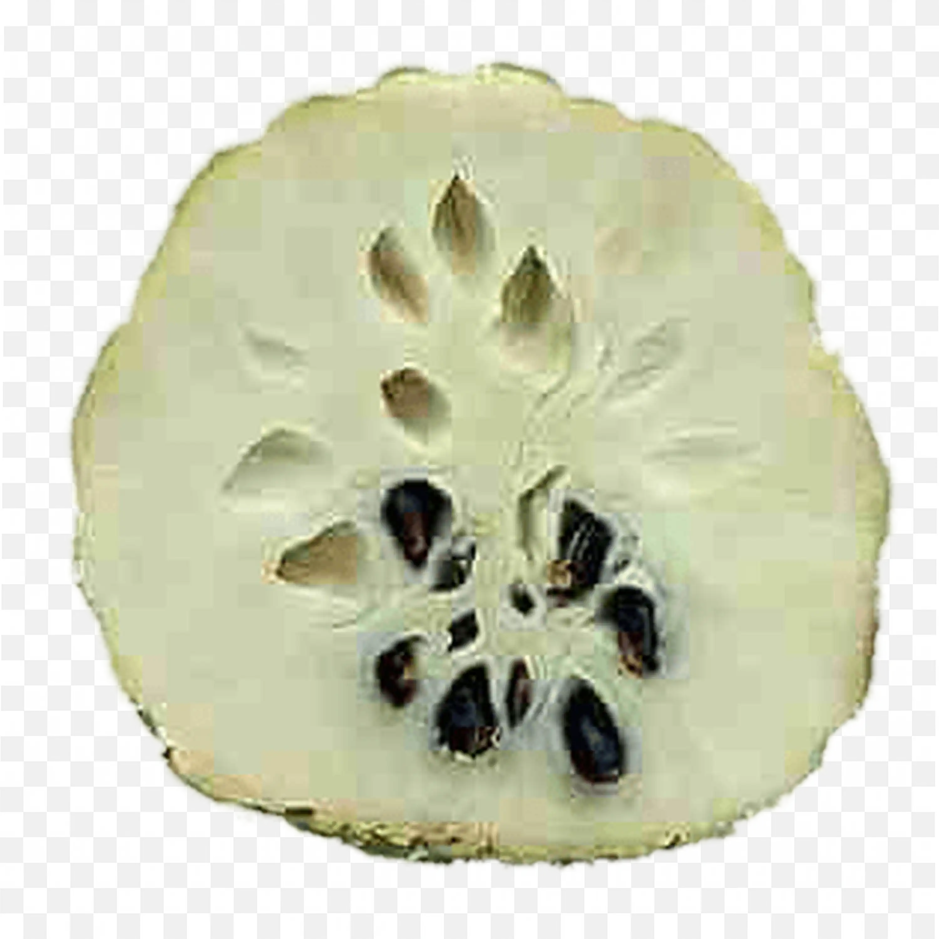 Creamy Custard Apple Fruit Sliced in Half Png Free Download