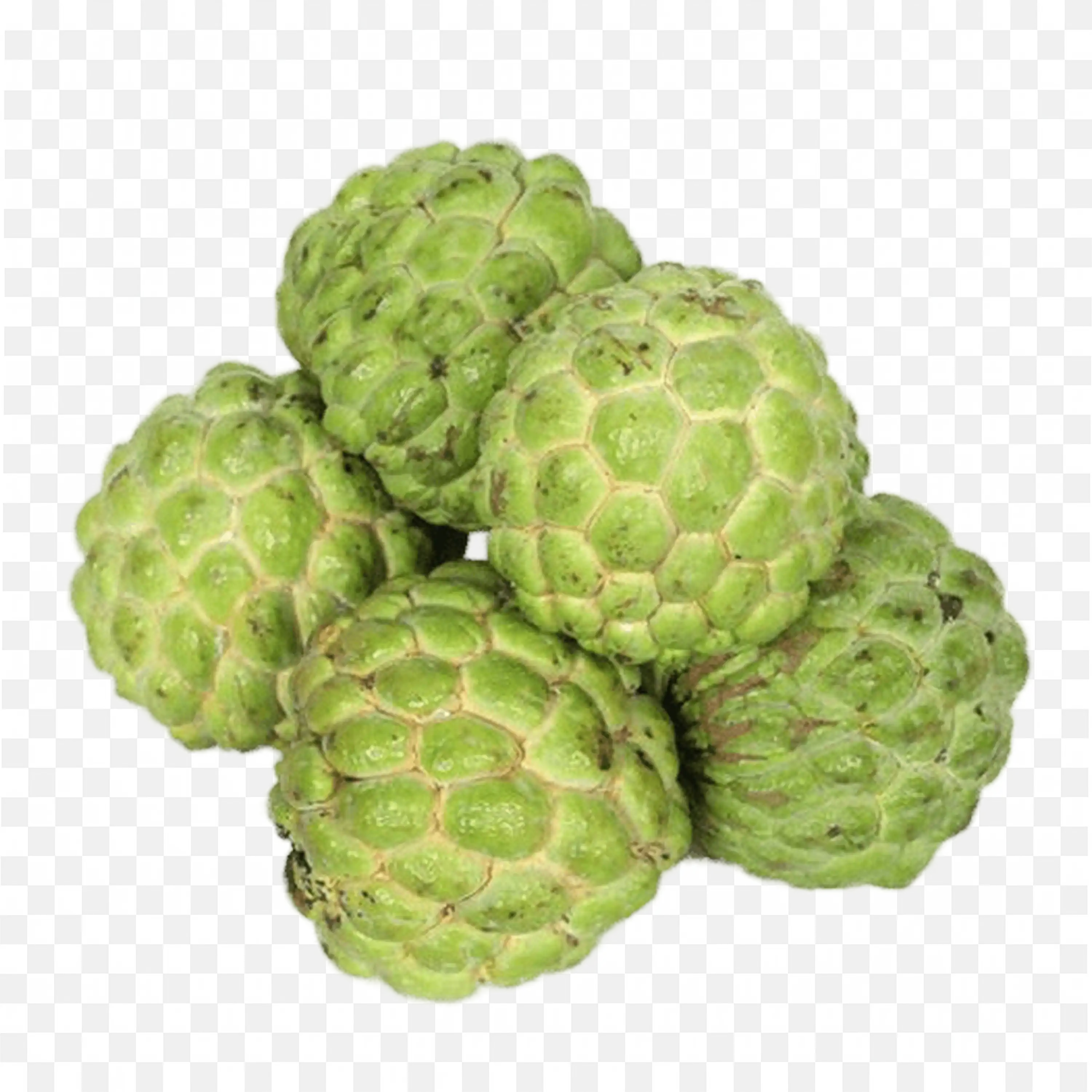 Custard Apple Fruit with Natural Rough Skin Png Image Free