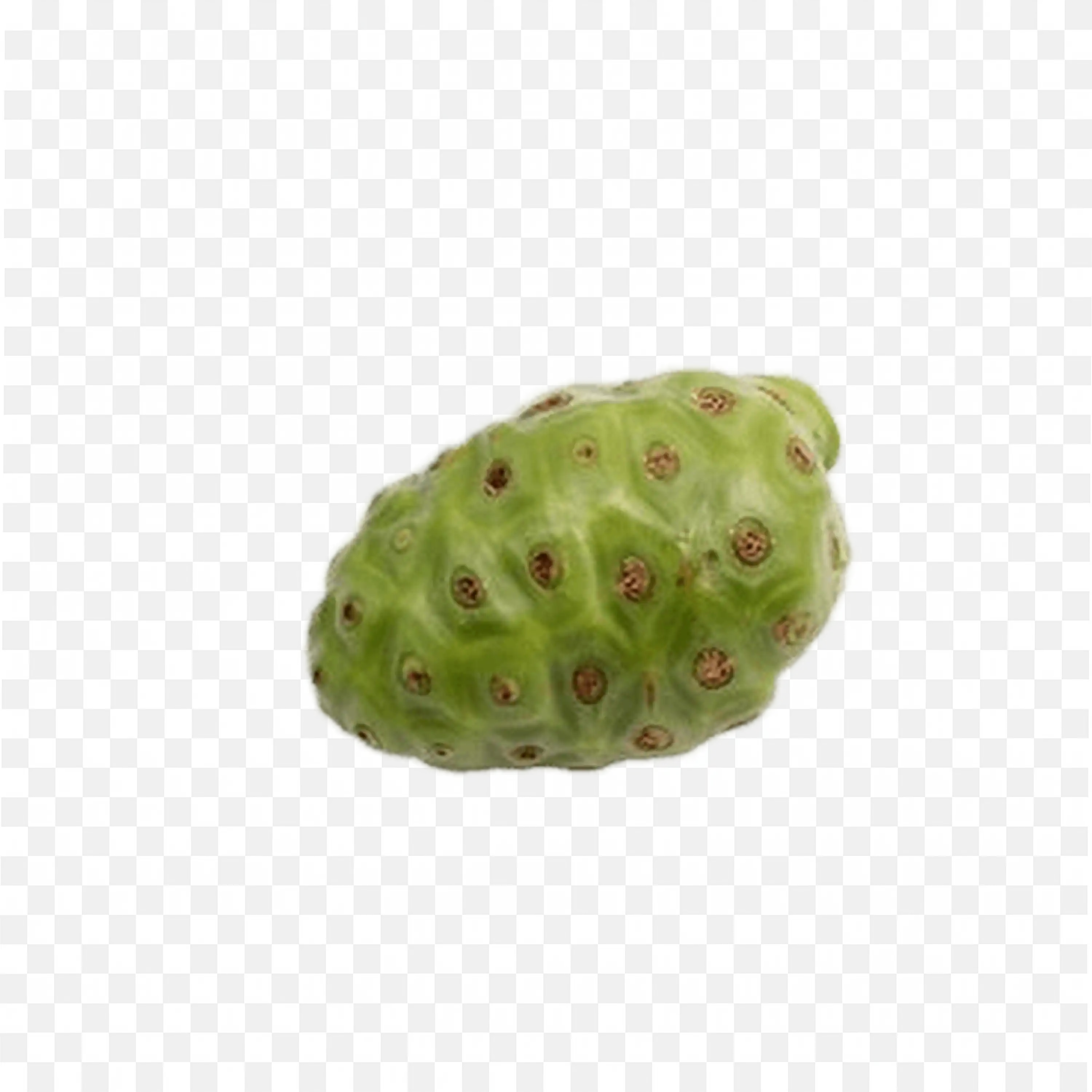 Custard Apple with Smooth Pale Green Surface Hd Png Free
