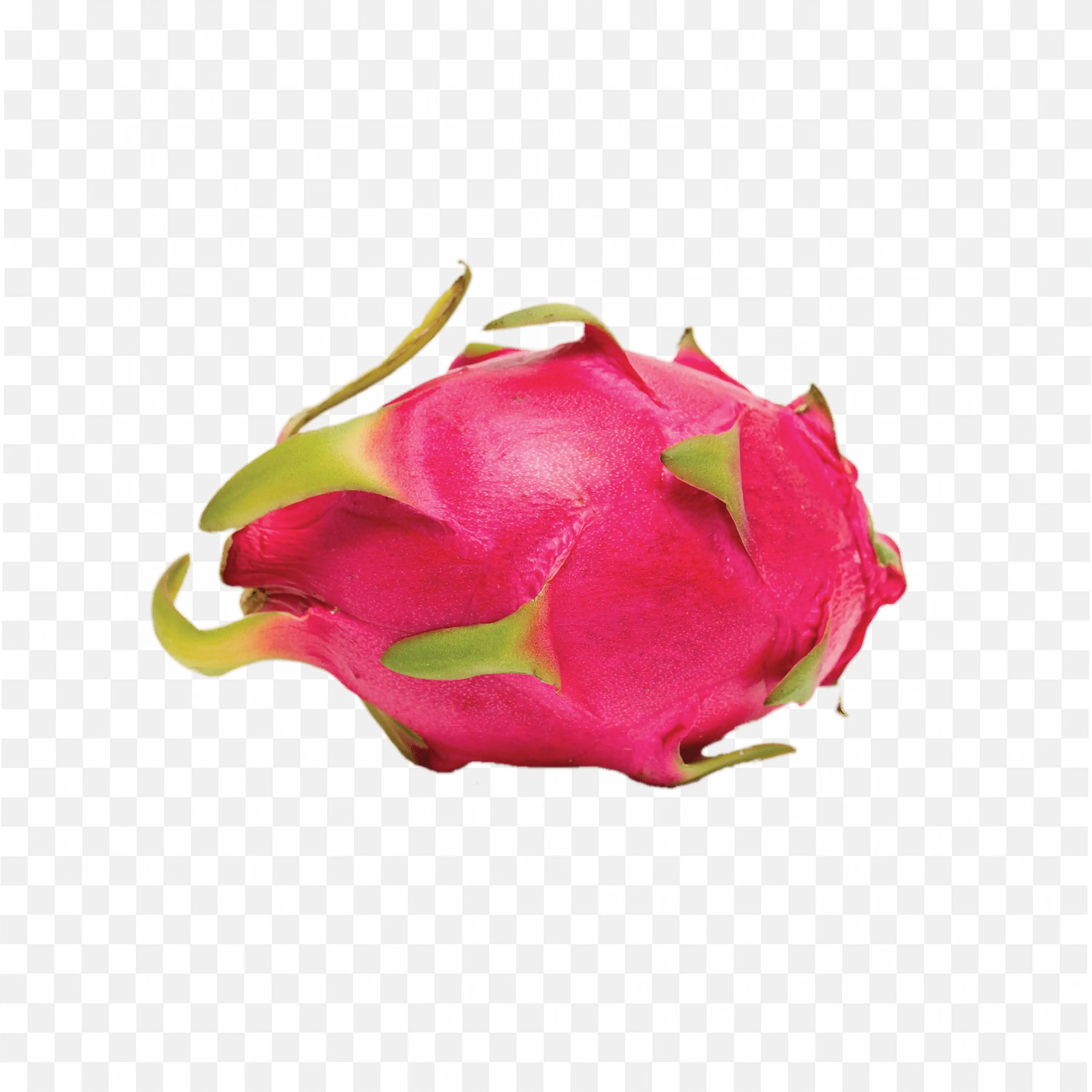 Dragon Fruit with Pink Skin and Green Spikes Png Free