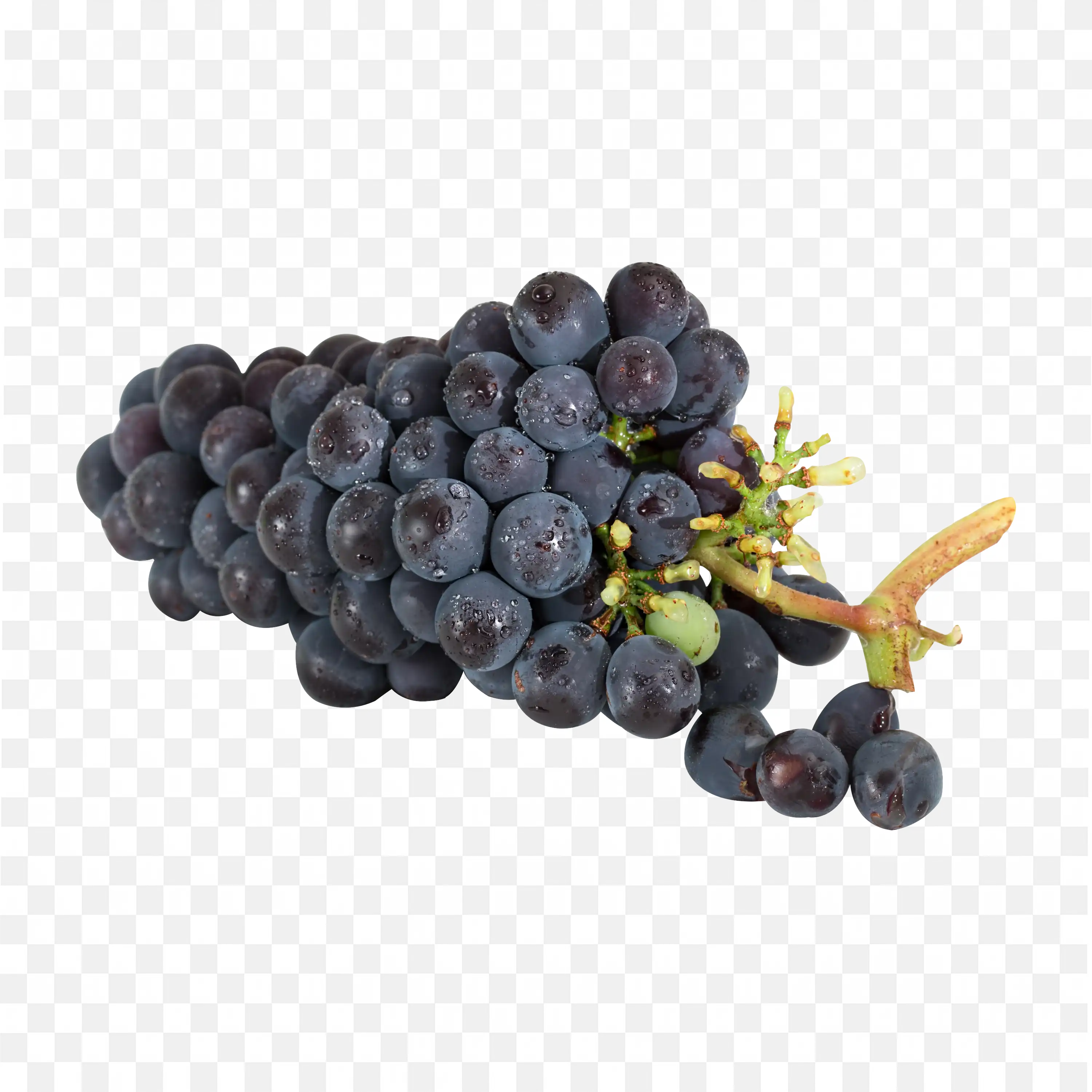 Fresh Bunch of Black Grapes with Water Droplets Png Free