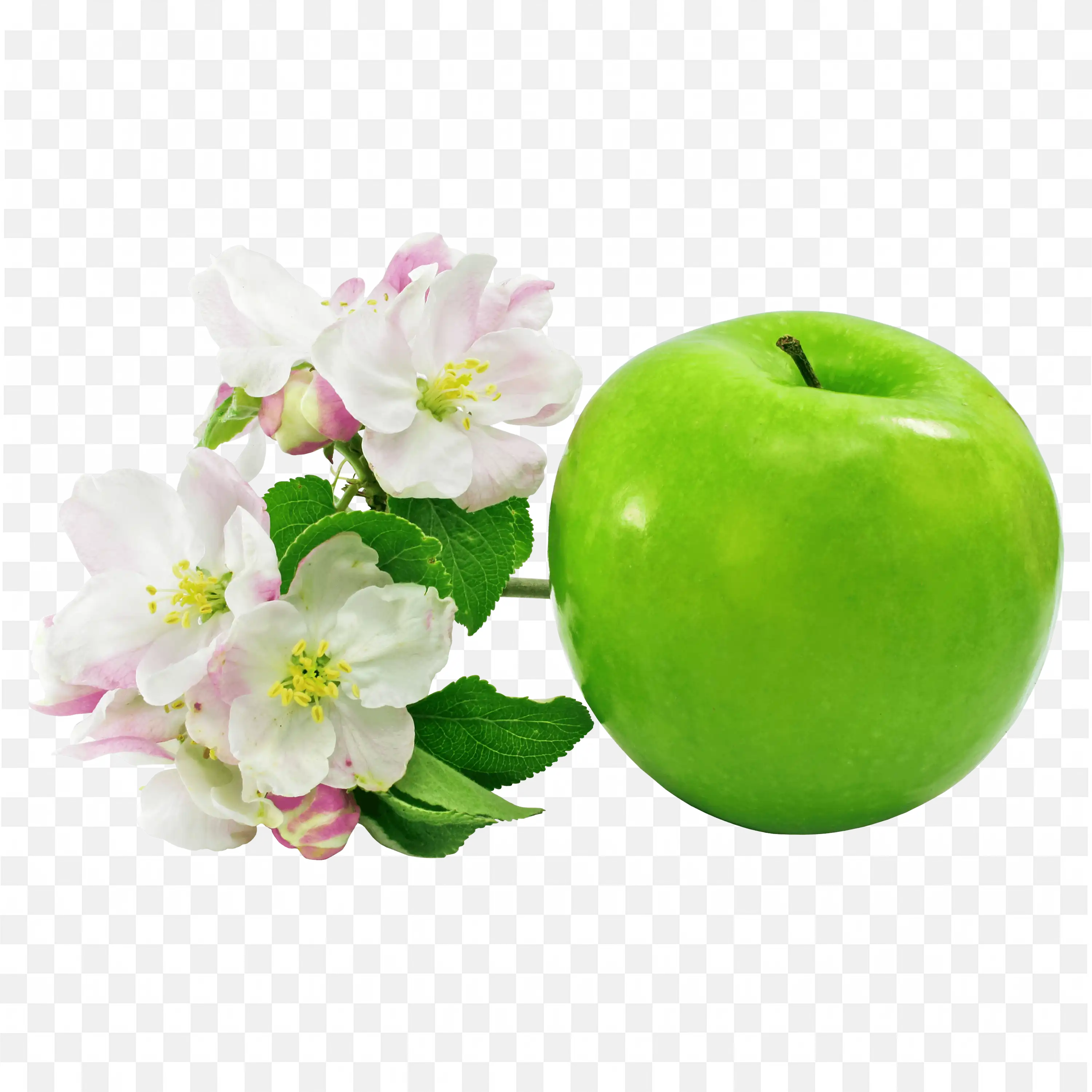 Green Apple with Purple White Blossoms For Refreshing Charm