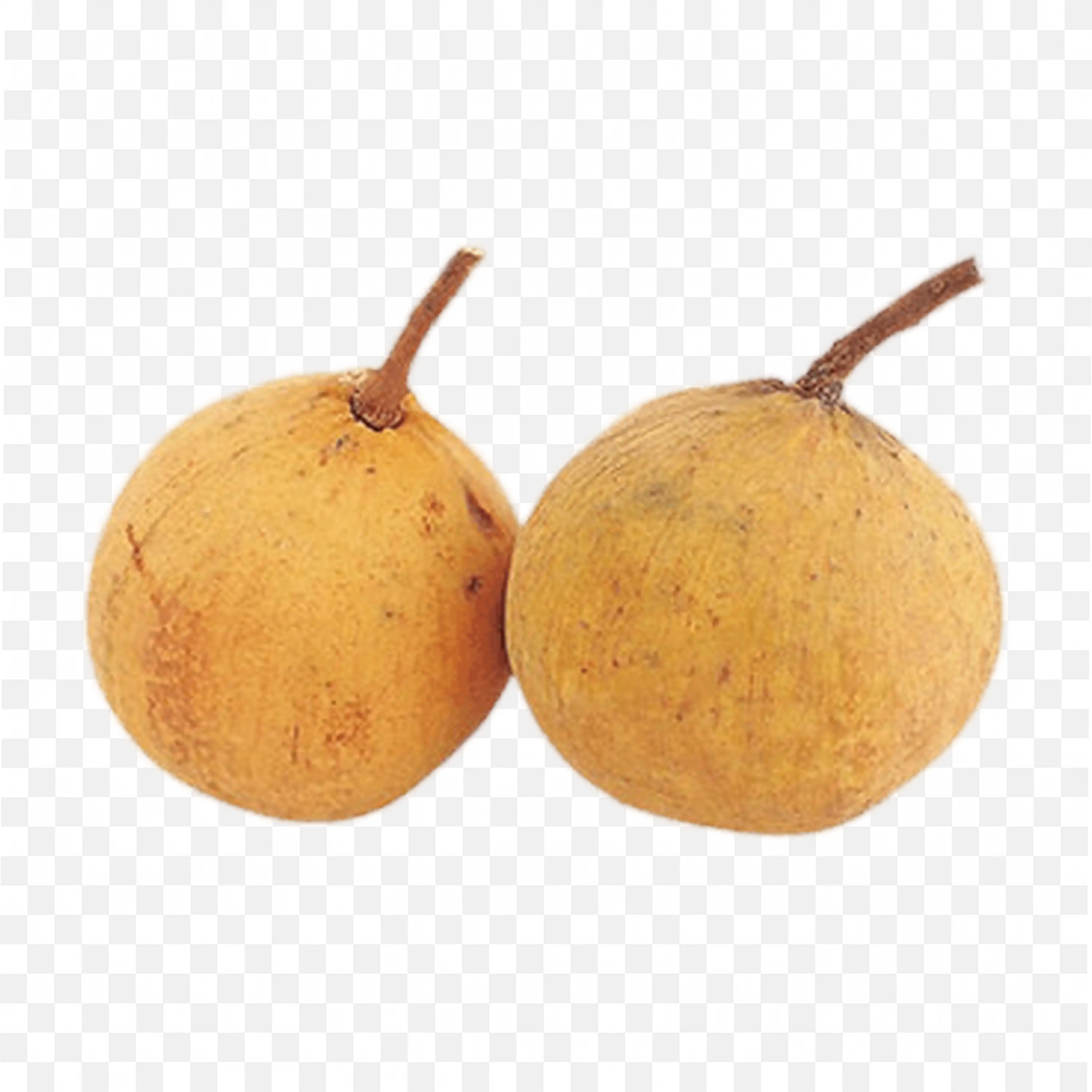 Pair of Fresh Logan Fruit with Brown Shells Free Png Download