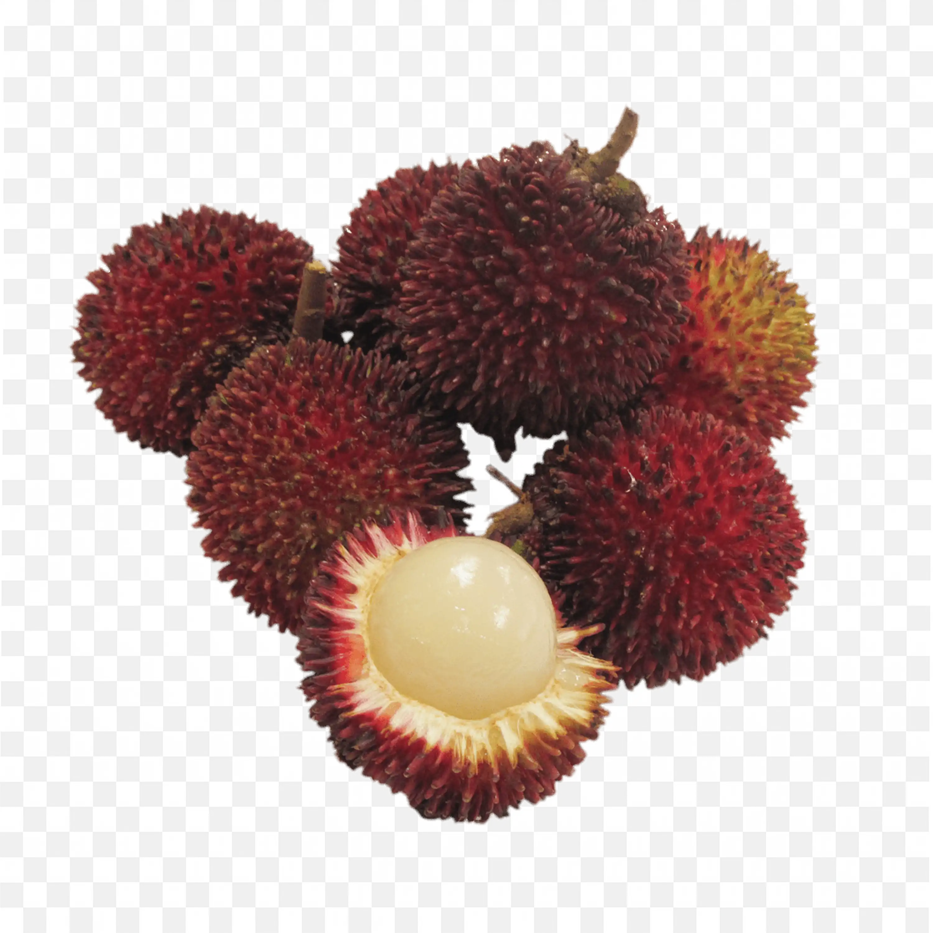 Rambutan Fruit with One Opened to Show White Juicy Flesh