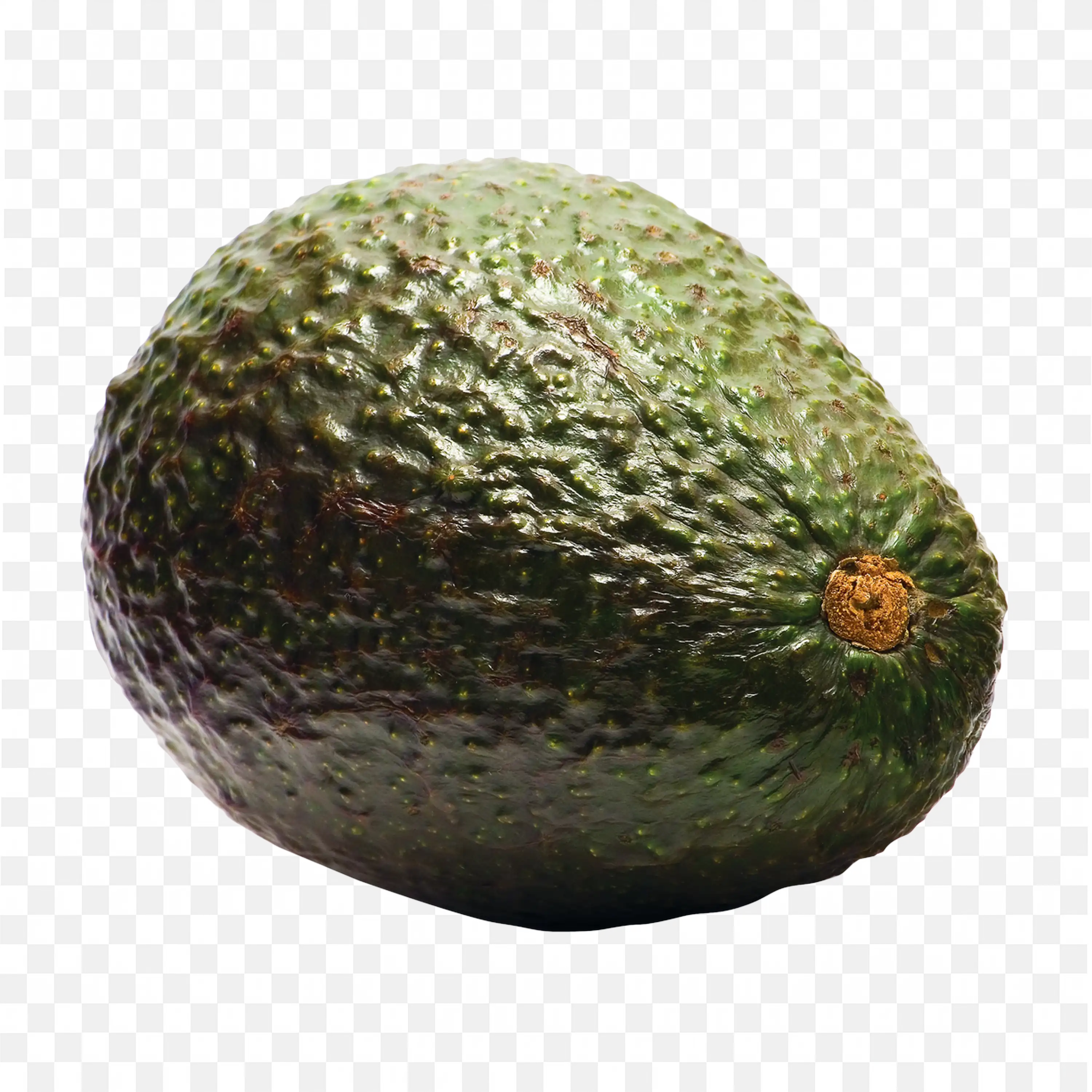 Single Sweet Avocado with Dark Rough Skin Png Image Free