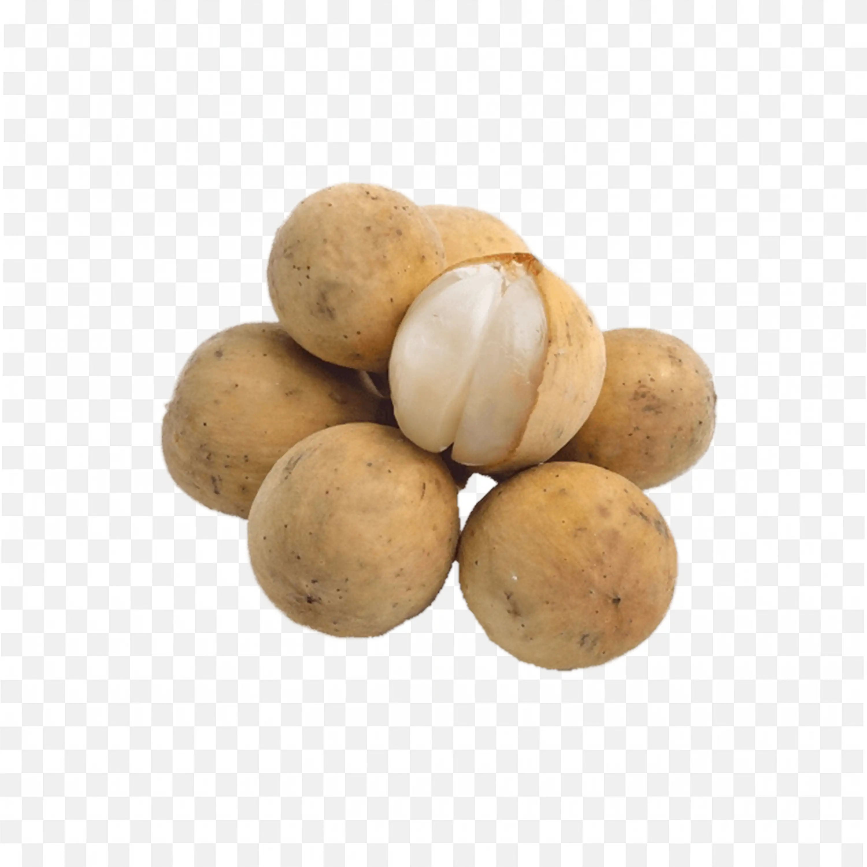 Png of a Small Longan Fruit in Brown Colour Natural Shell