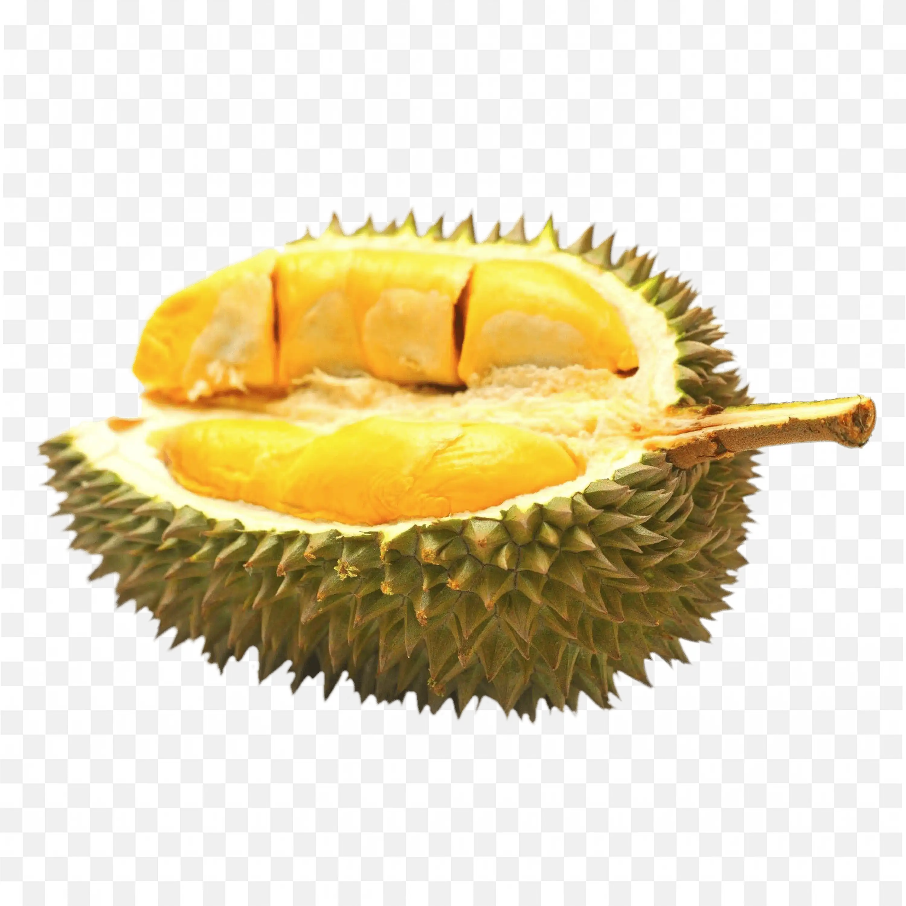 Spiky Durian Fruit Showing Its Vibrant Yellow Flesh Free Png