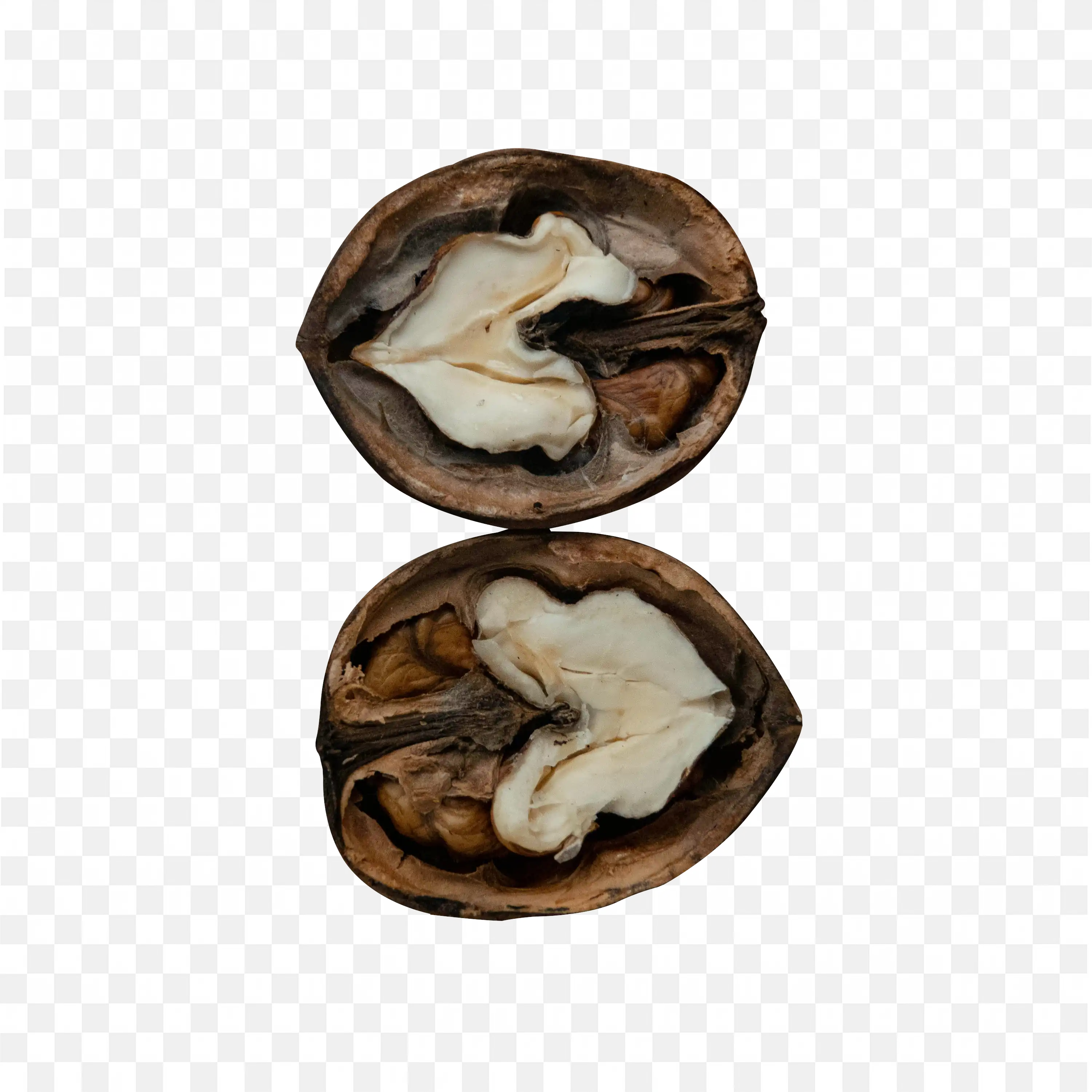Download the Top View of Fresh Walnut Split in Half Png