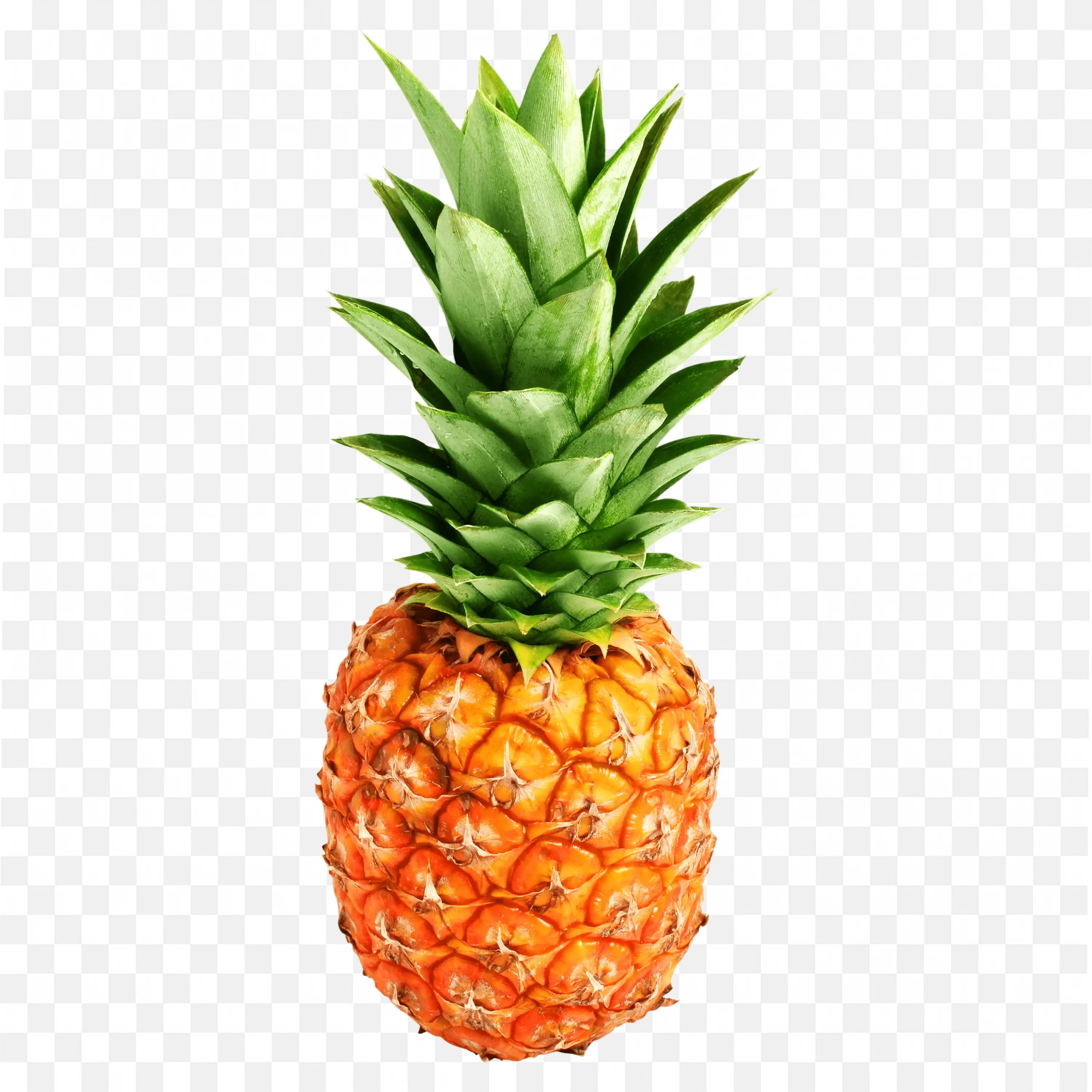 Whole Pineapple with Spiky Leaves and Rough Textured Skin