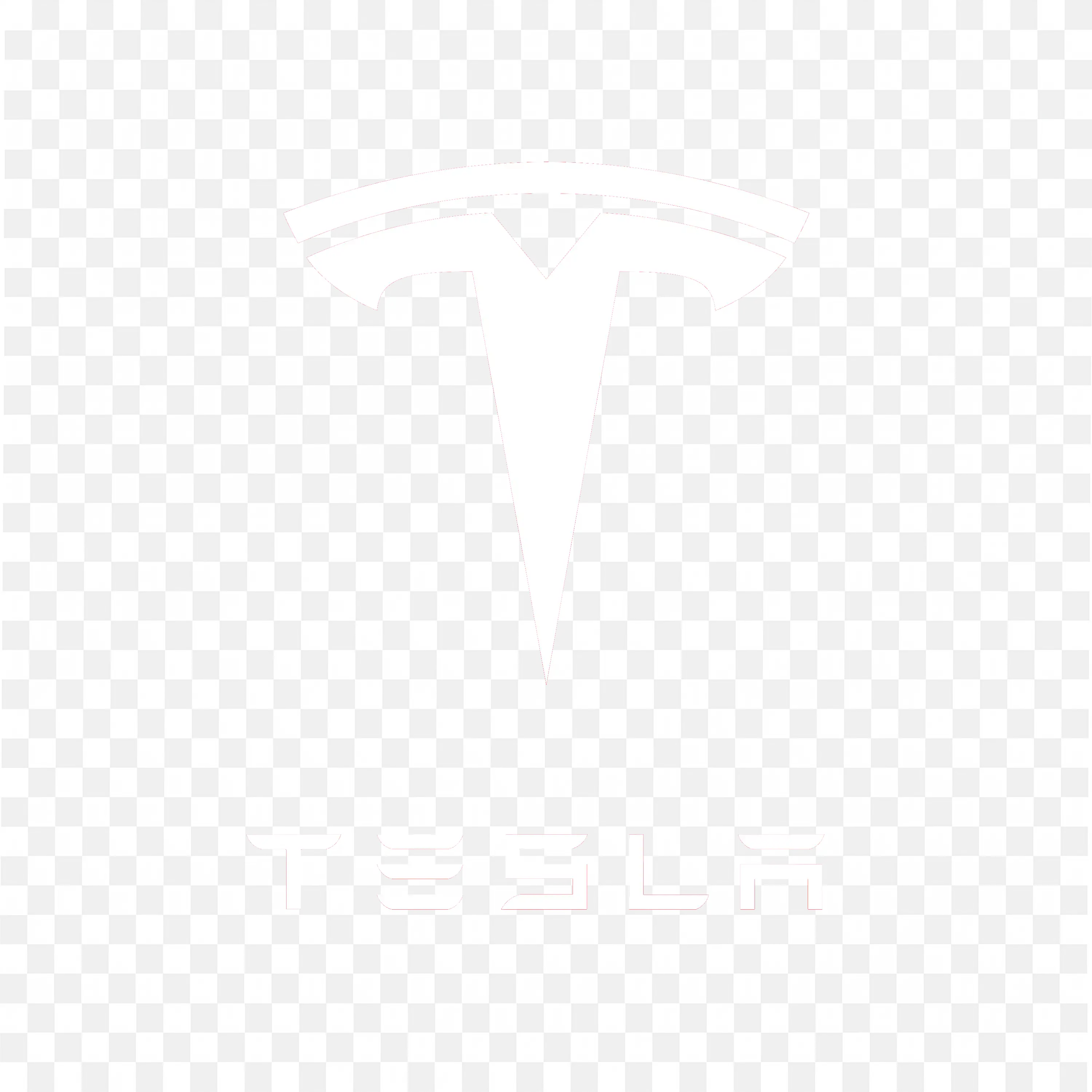 Tesla Logo in White and Red with Wordmark Below the icon