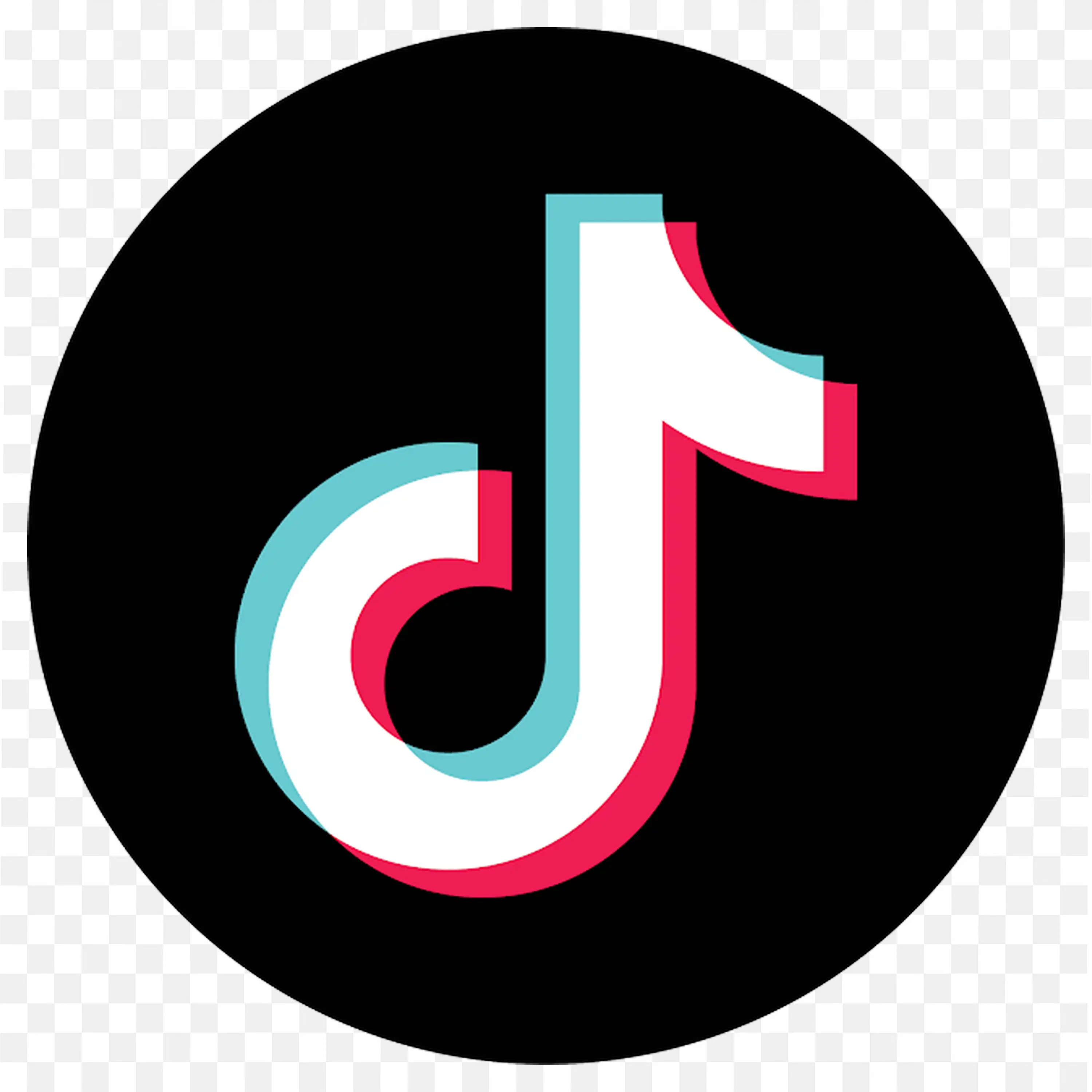 TikTok Logo on Black Circle Background with Music Note Icon
