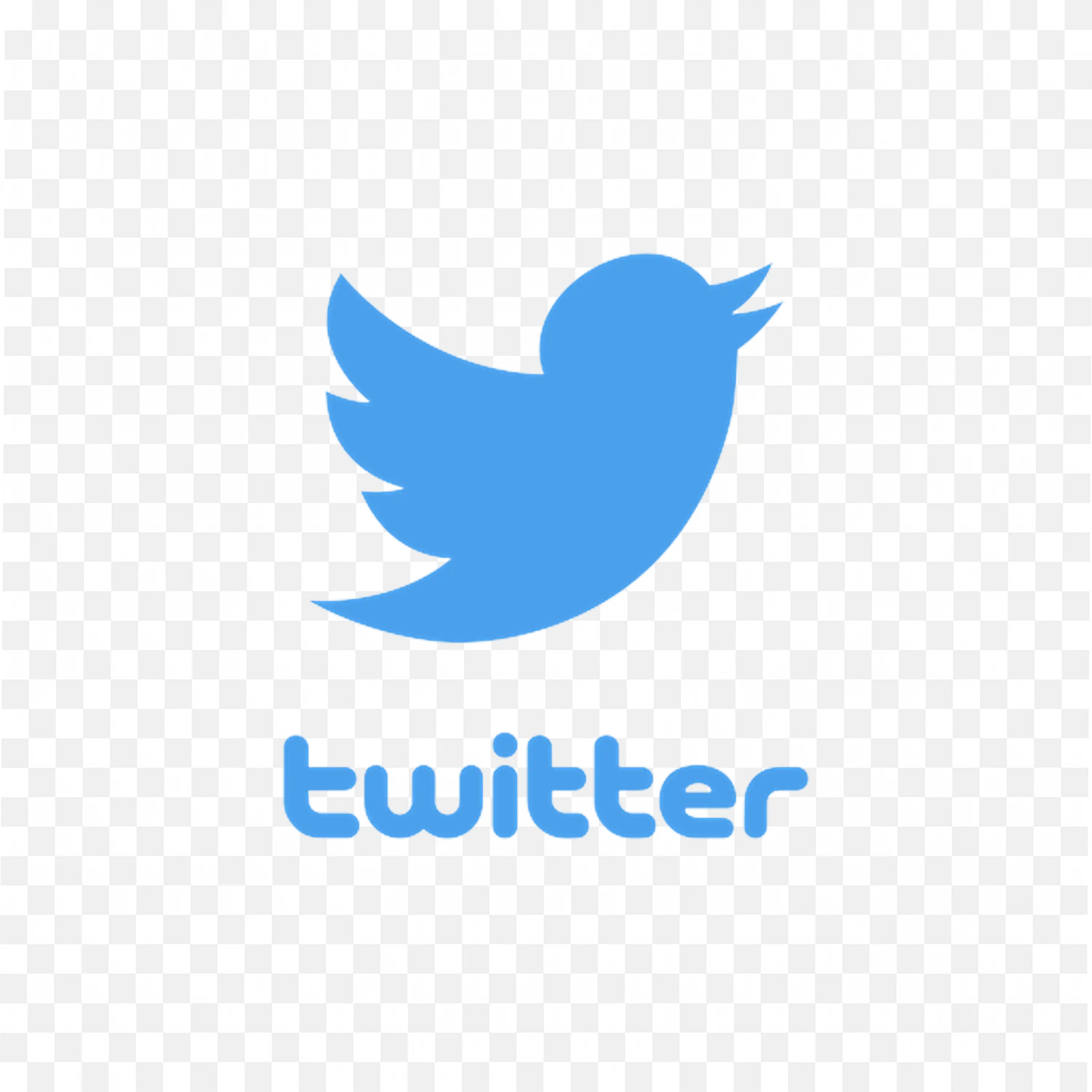Twitter logo with light blue bird icon and Text below PNG