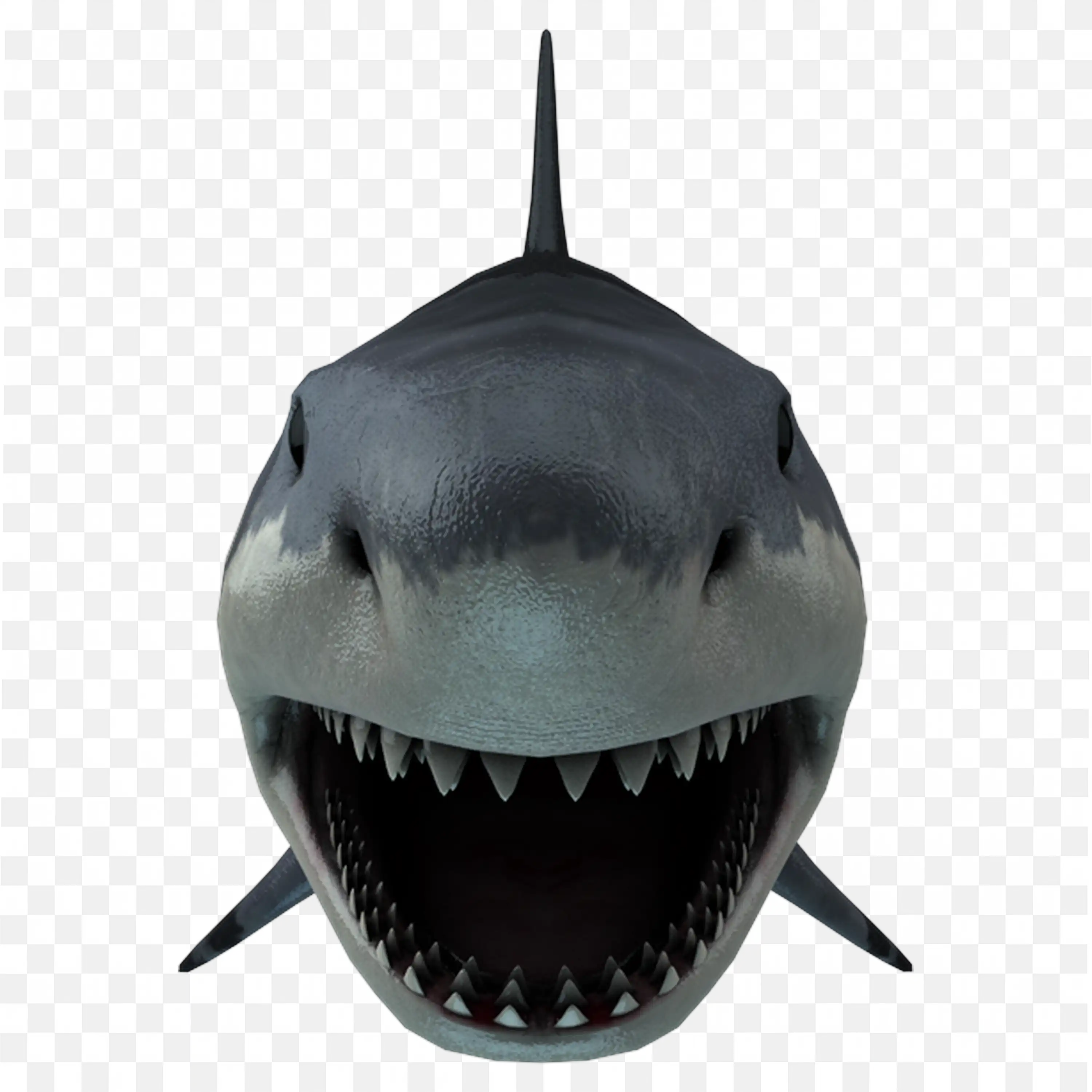 Angry Shark with Open Mouth Front View Transparent PNG