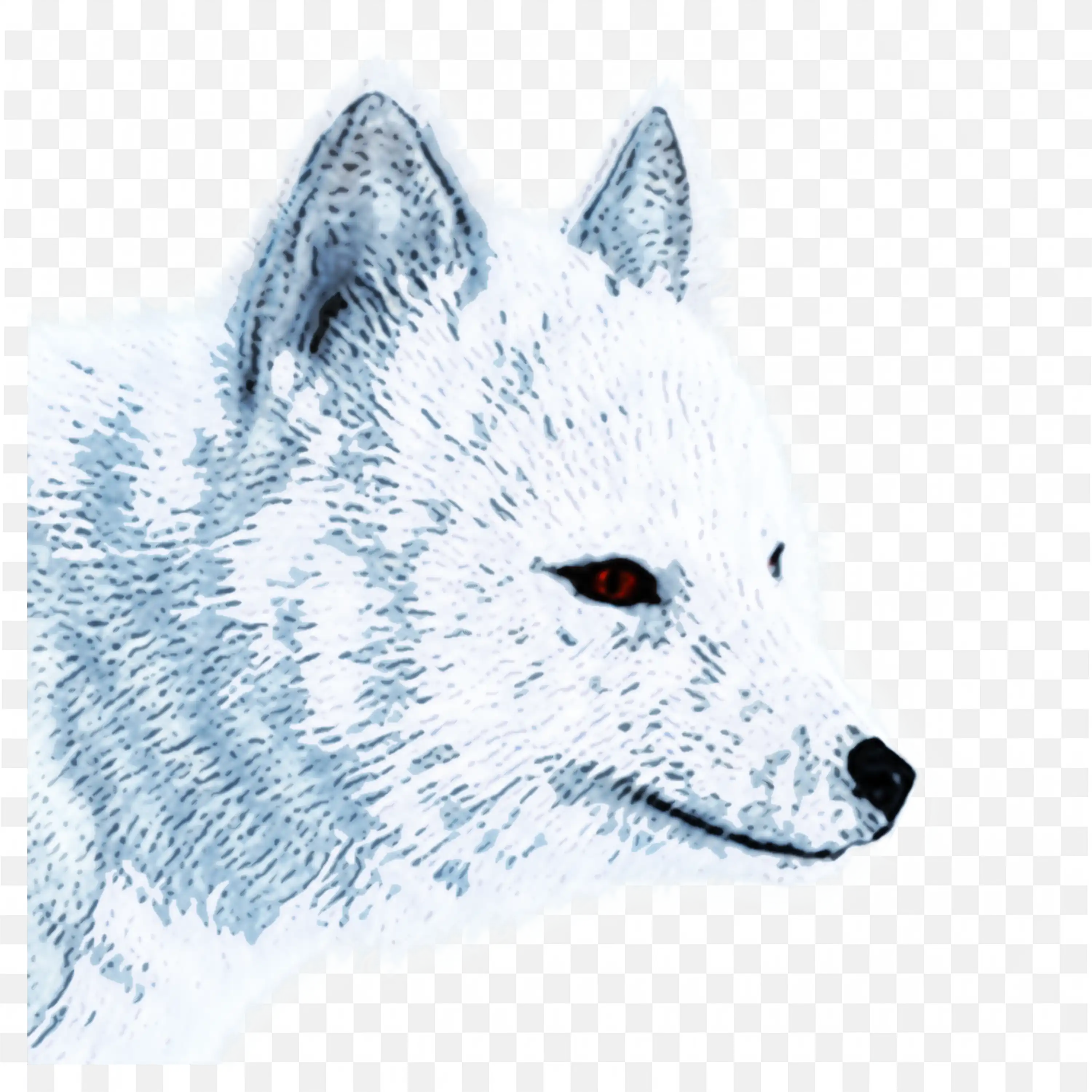 Arctic Wolf Clip Art Blue Winter Snow Wildlife PNG Art Download