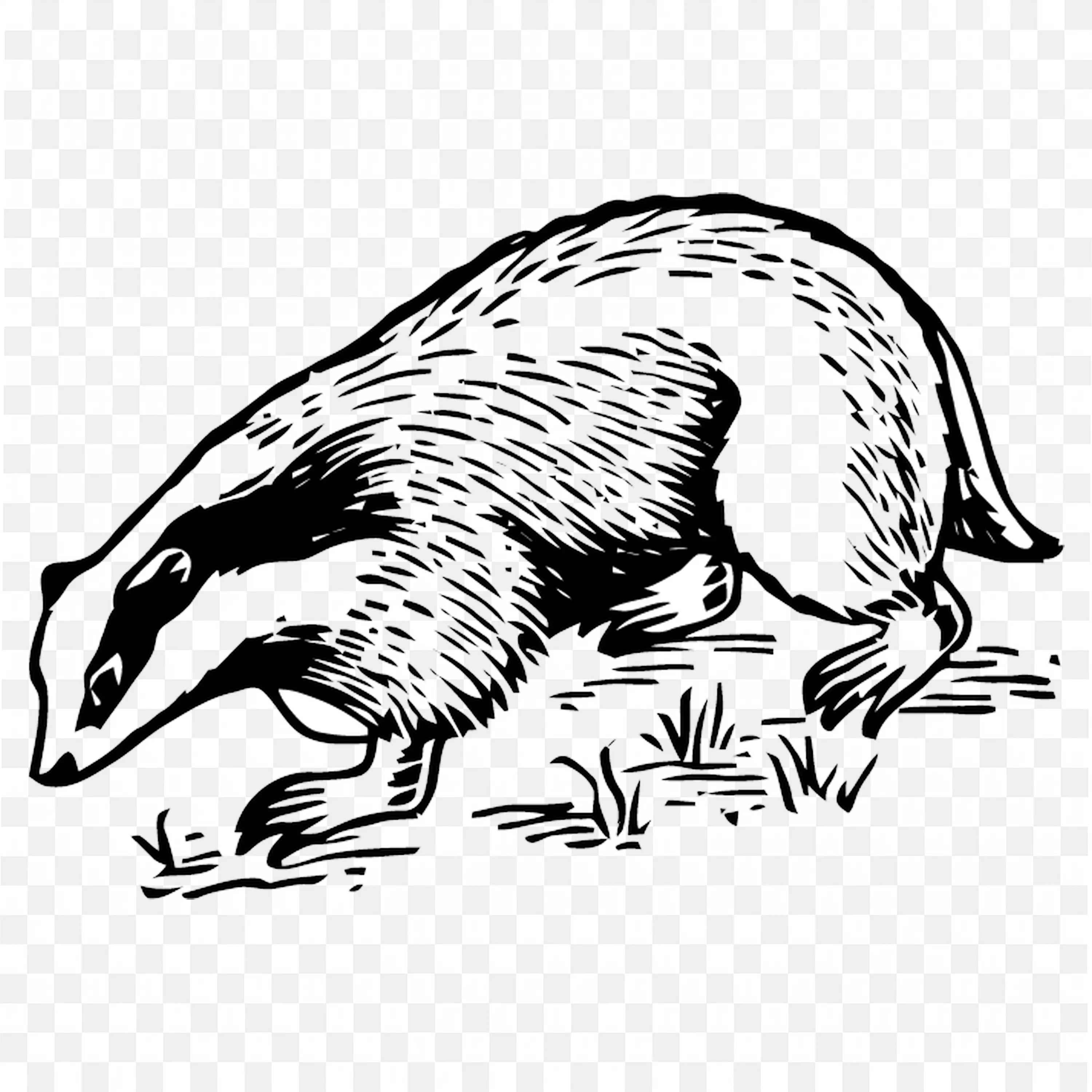 Badger Line Drawing Clip Art Wildlife Animal Nature Art
