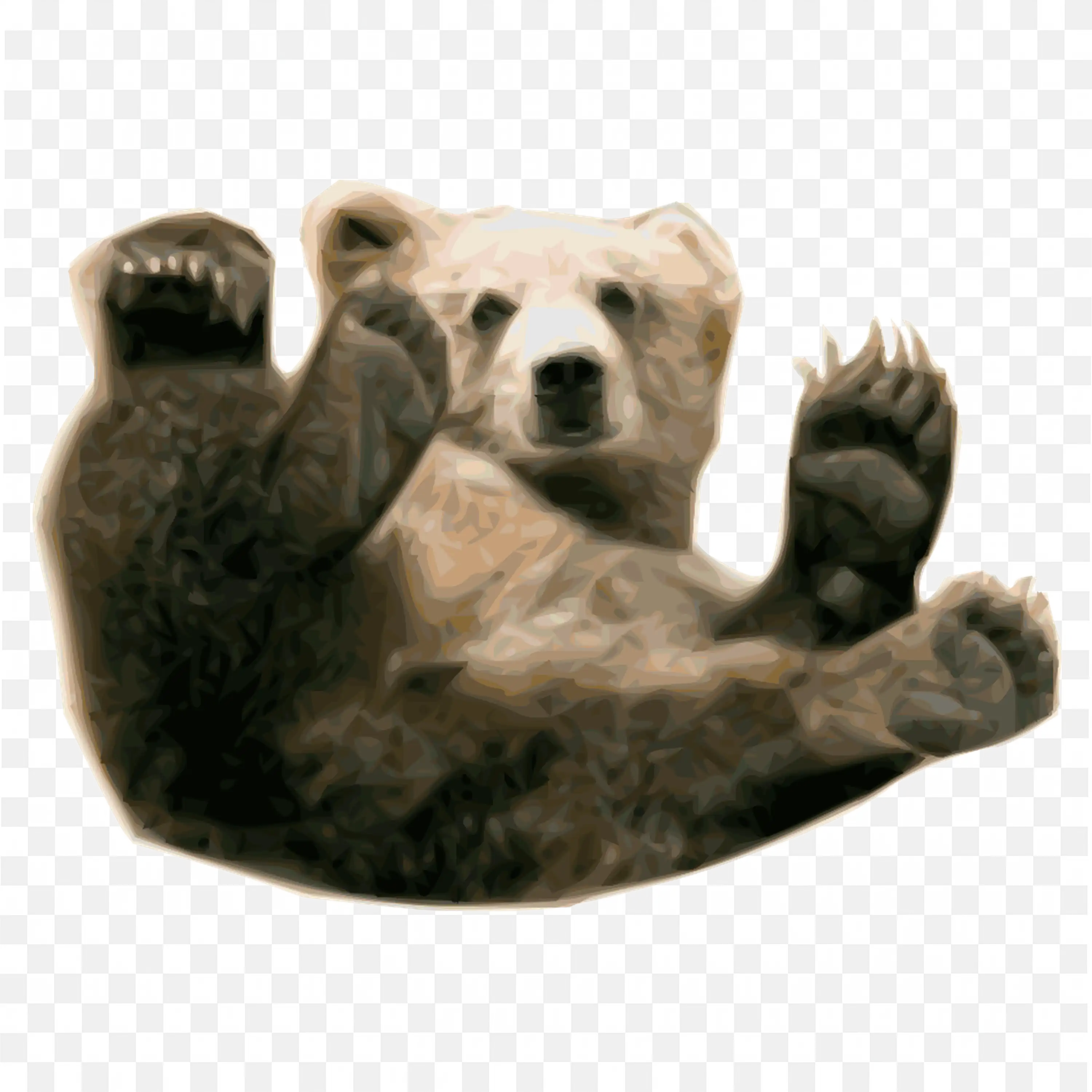 Bear Laying Down PNG Realistic Resting Wildlife Pose