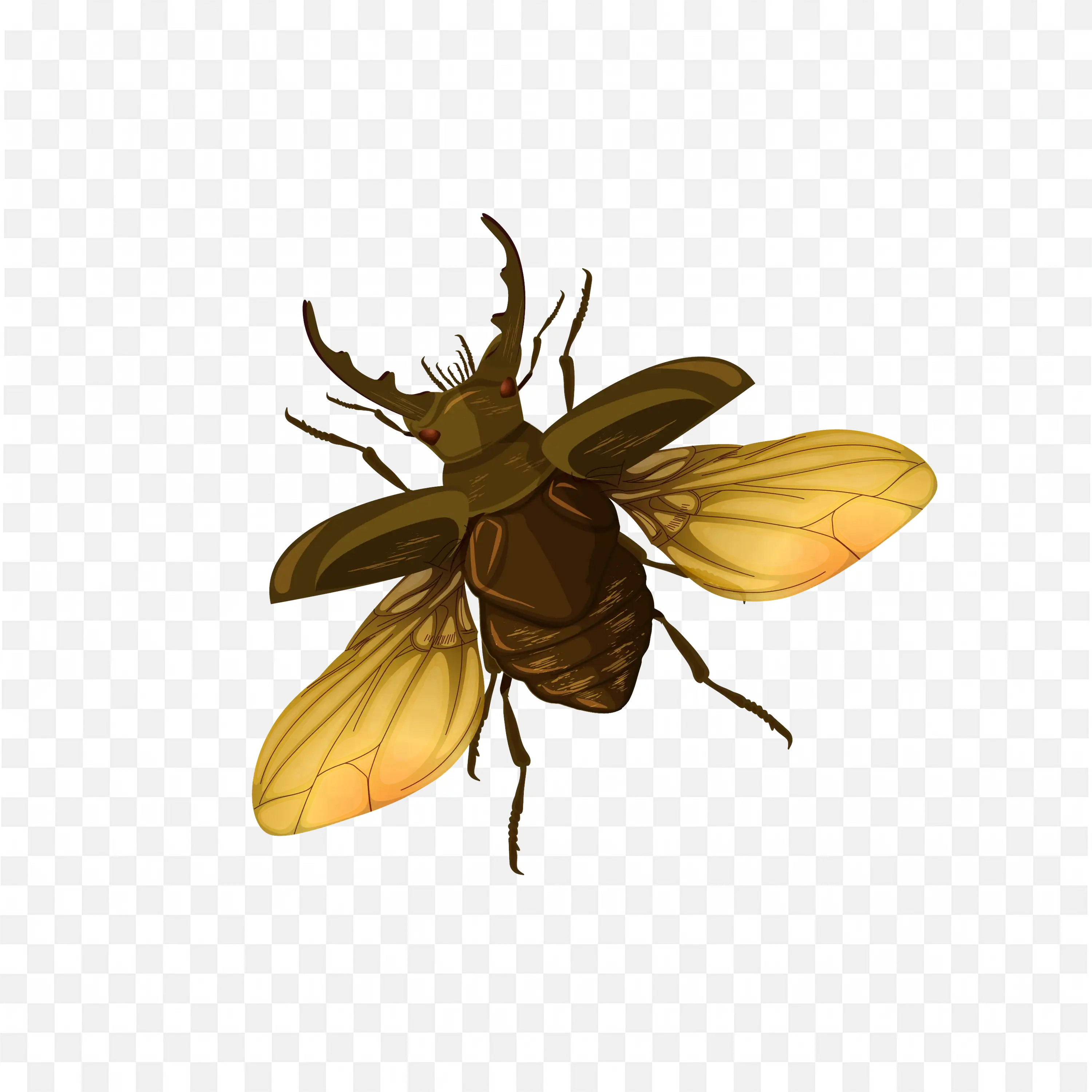 Bee PNG Yellow and Black Insect Detailed Vector Clip