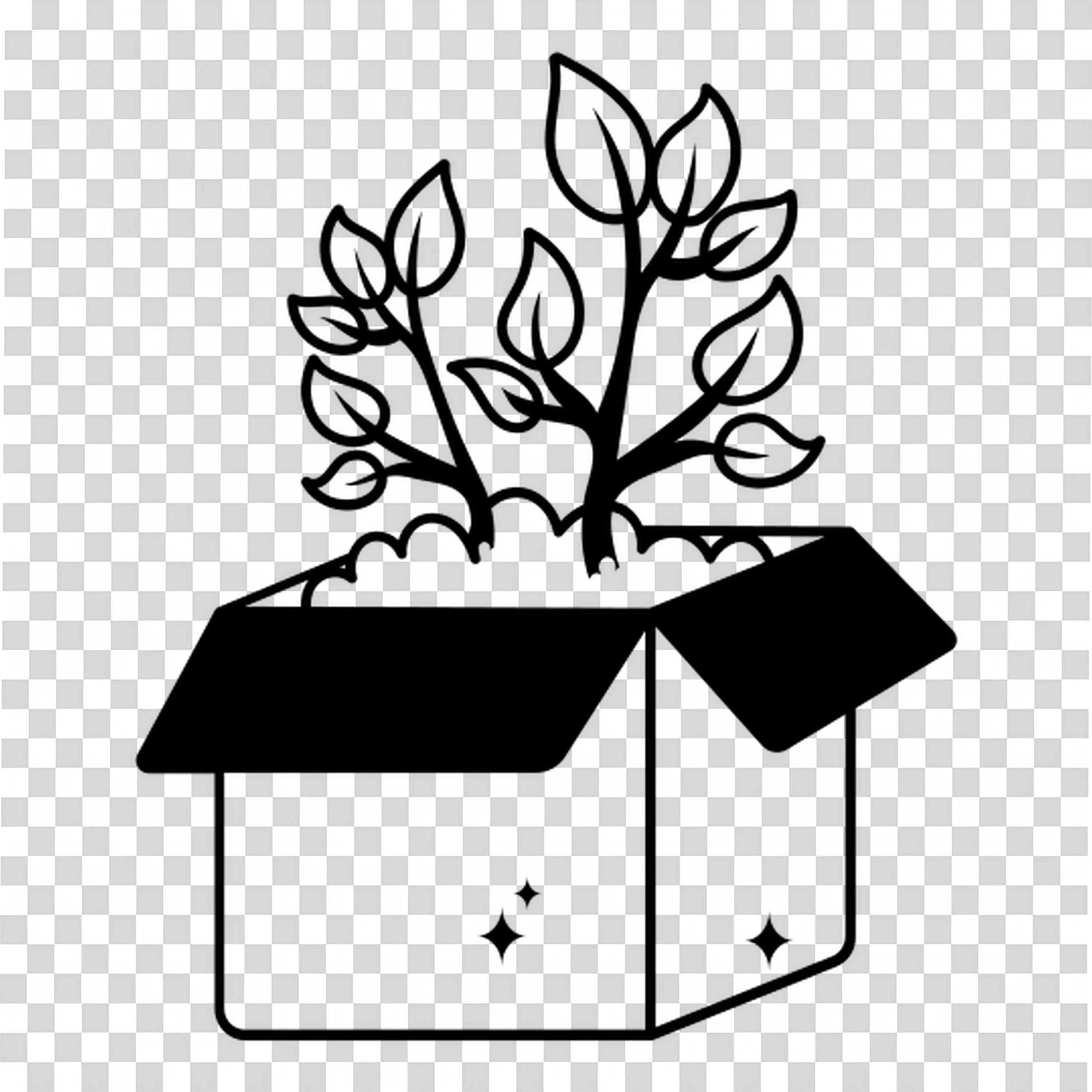 Black and White Plant Growing Out Of a Cardboard Box