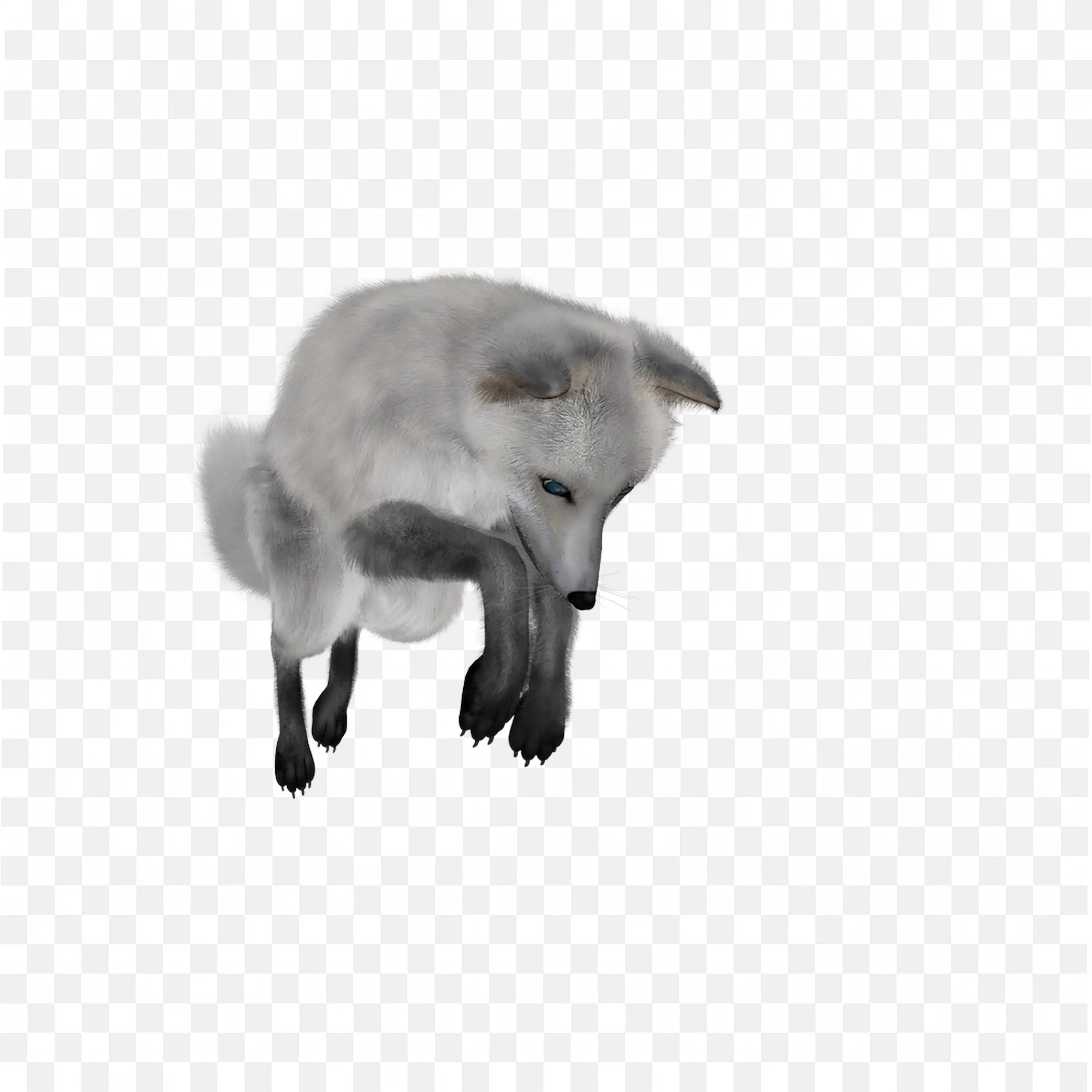 Black Arctic Fox Clip Art Standing Nature Wildlife Design