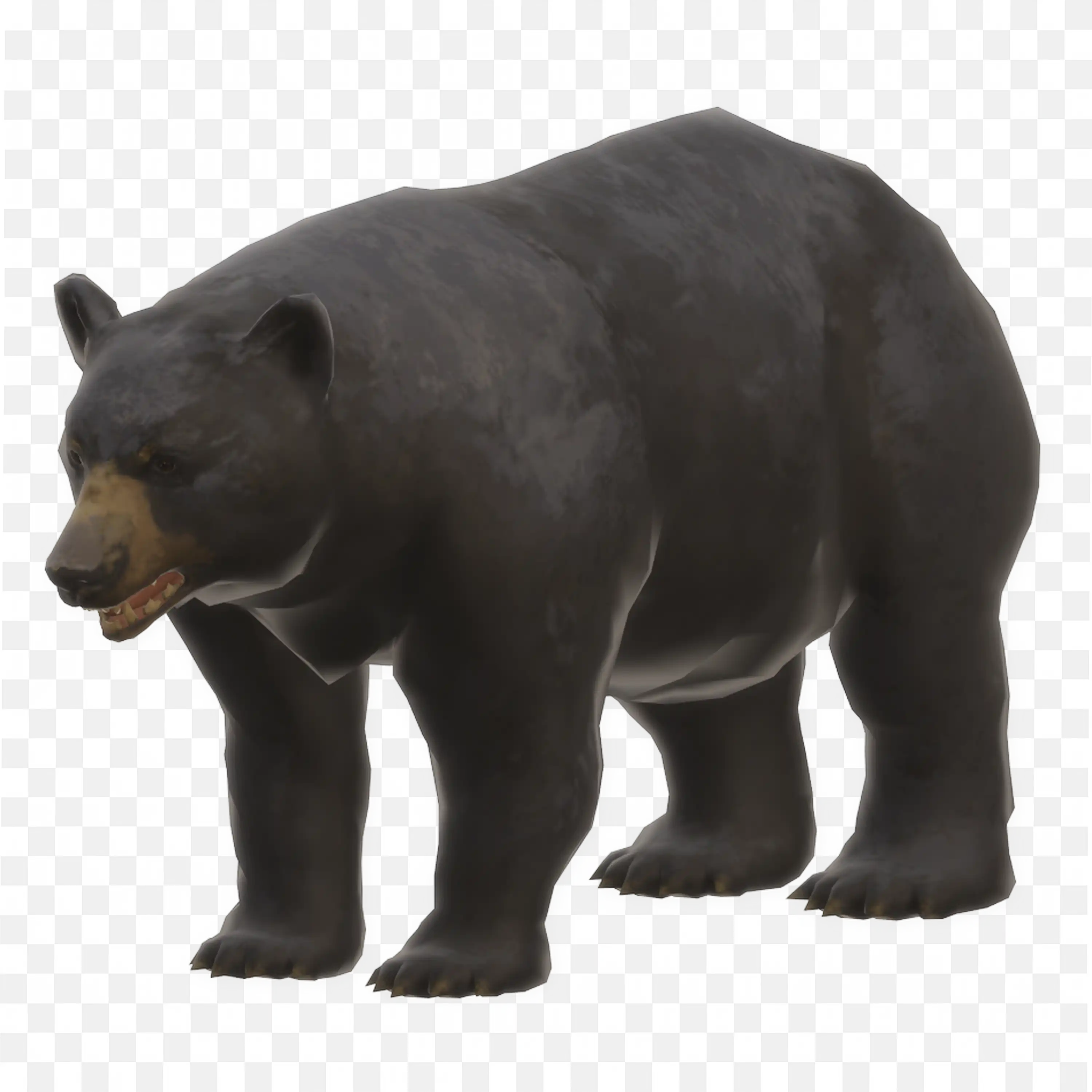 Black Bear Standing PNG Realistic Forest Wildlife PNG