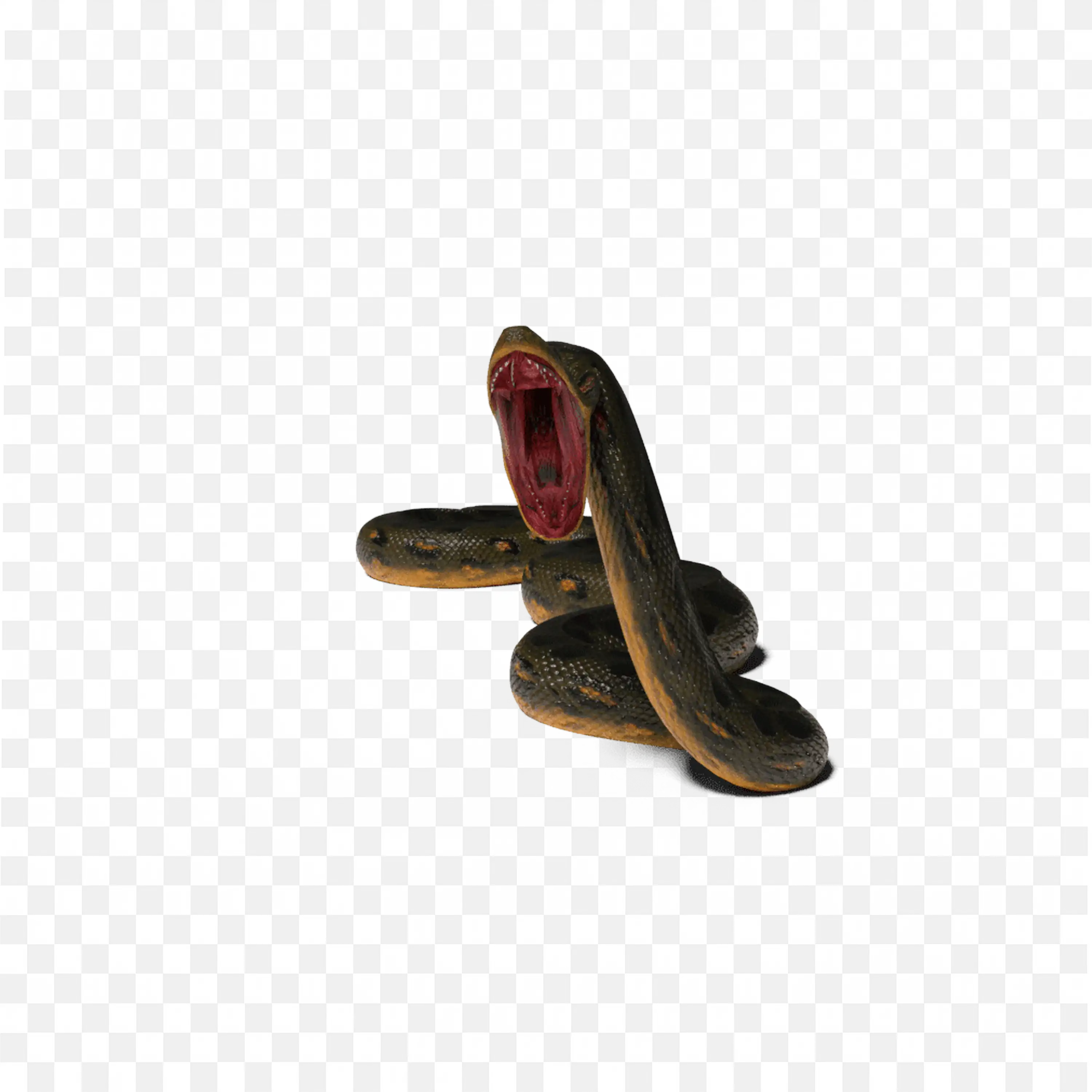 Black Cobra Snake Clip Art Nature Illustration Reptile