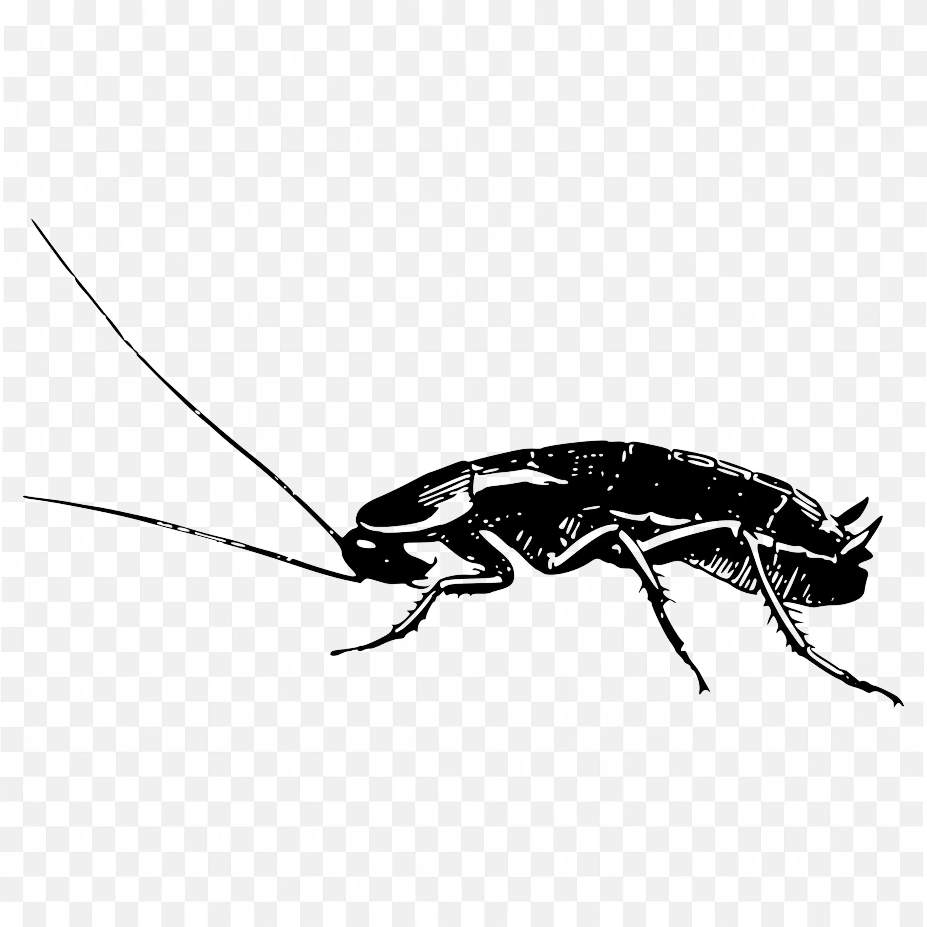 Black Cockroach Side View Silhouette Transparent PNG