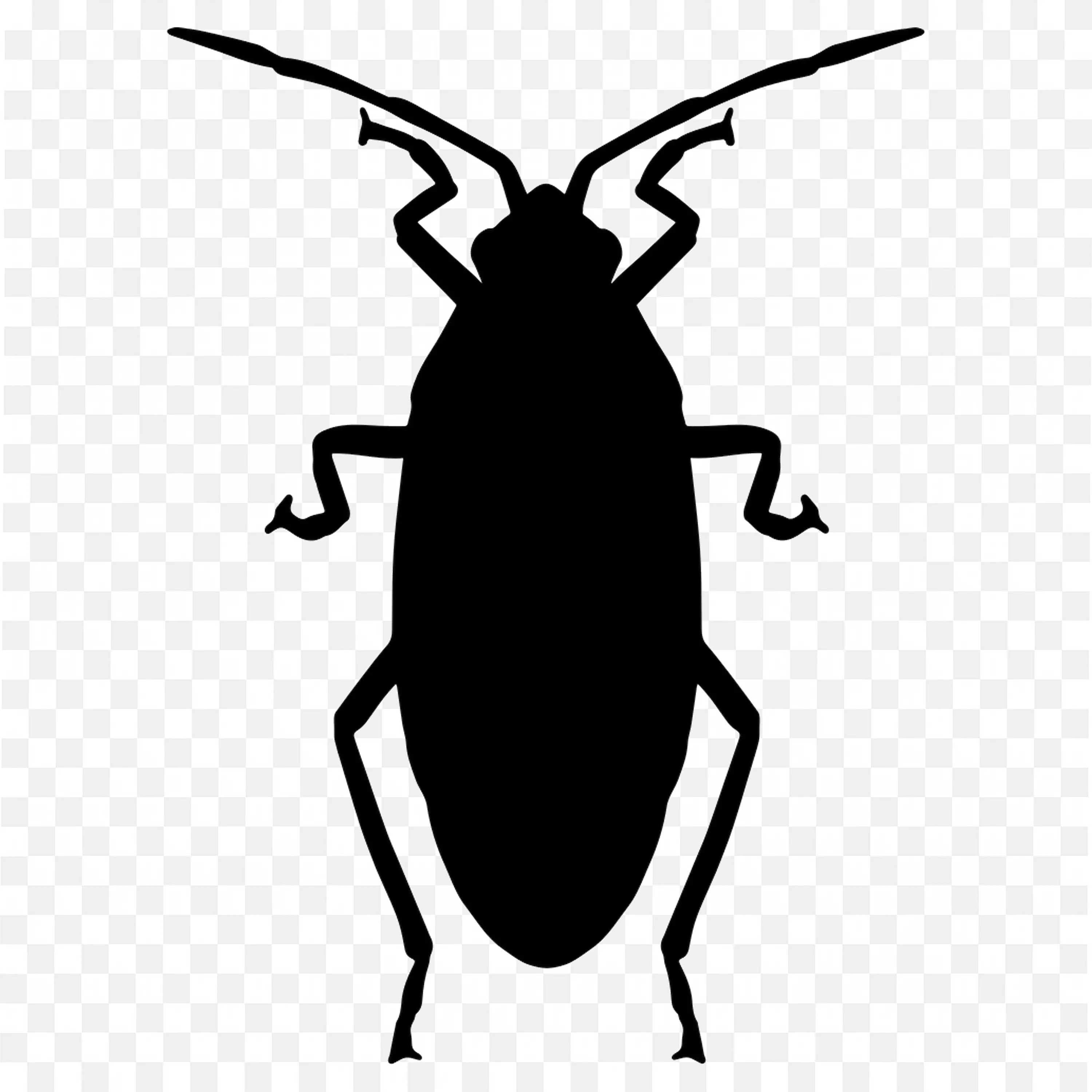Black Cockroach Silhouette Side View Transparent PNG