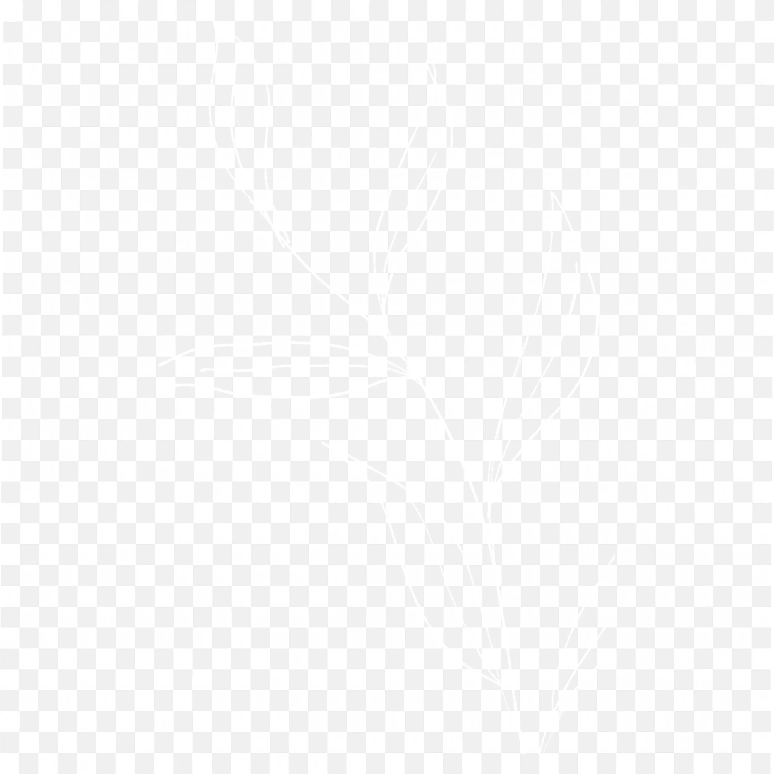 Blank White Floral Template for Nature Design or Background