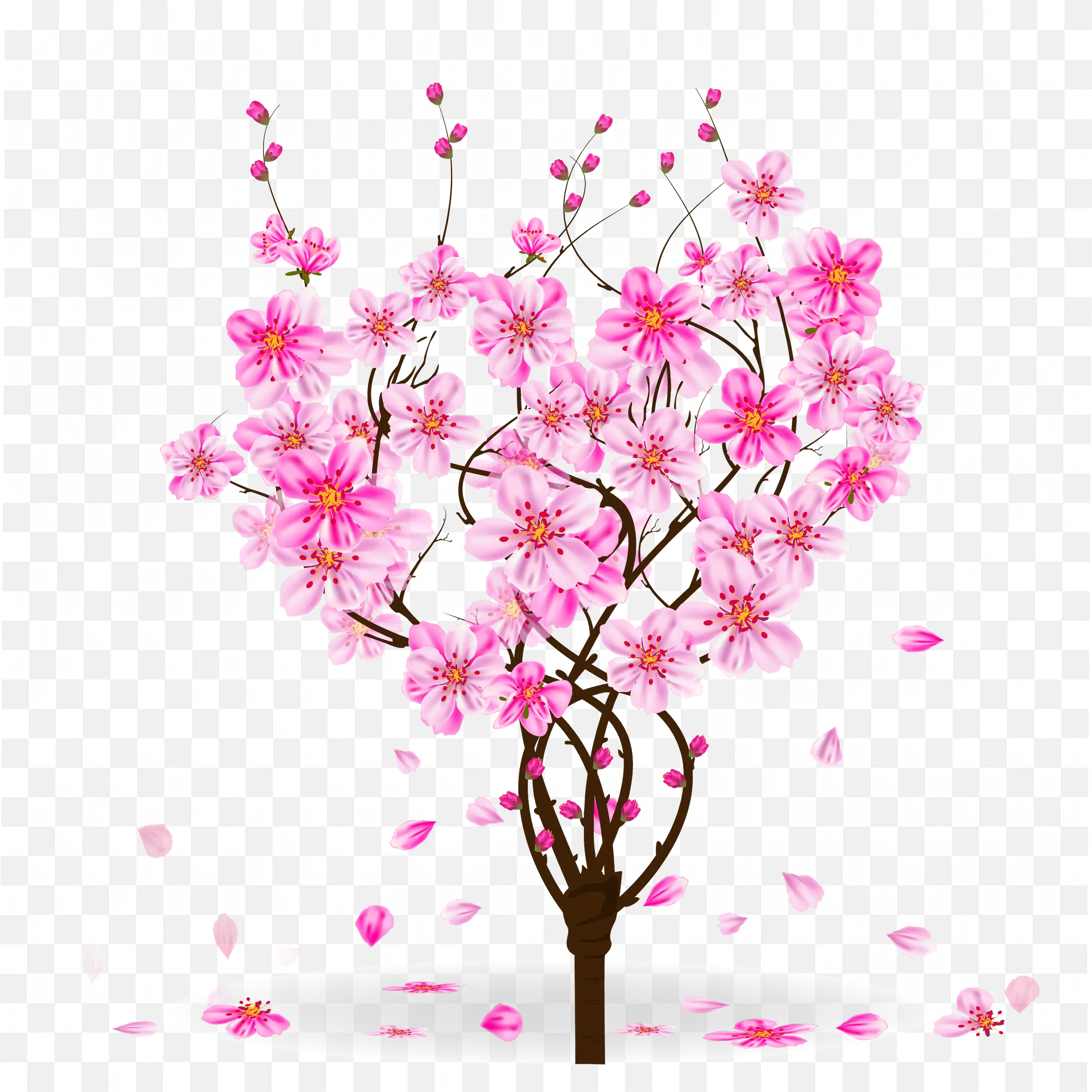 Blooming Pink Cherry Blossom Tree Spring Nature Illustration