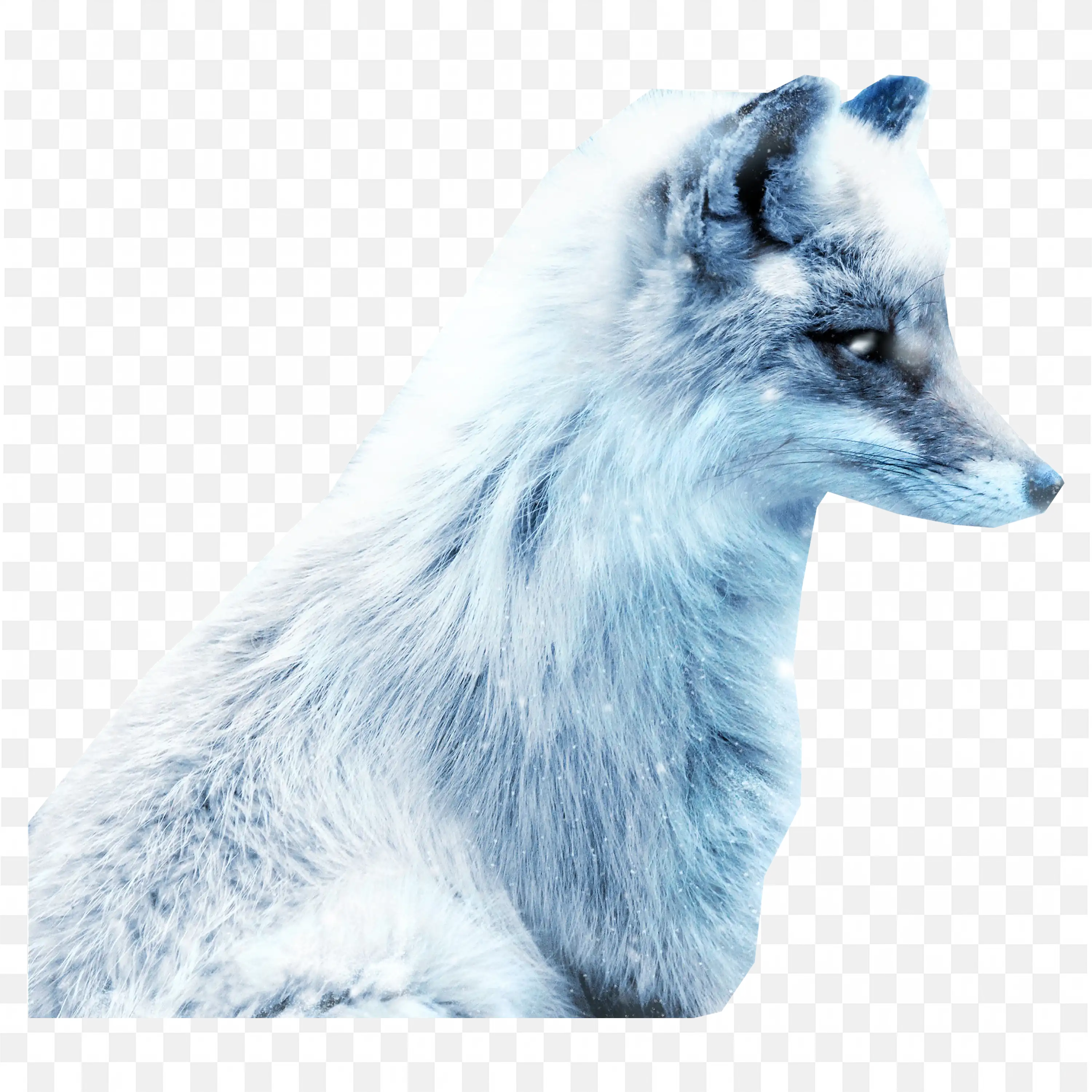 Blue Arctic Wolf Clip Art Nature Winter Snow Animal Art