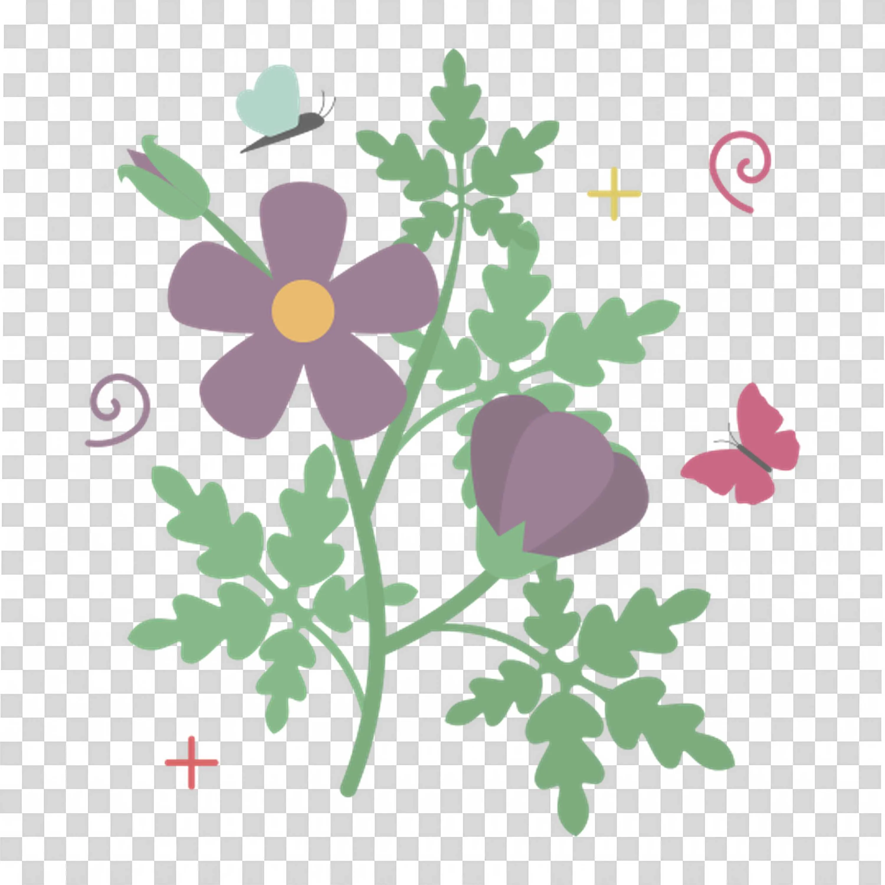 Botanical Drawing Of Blooming Garden Flower Plants