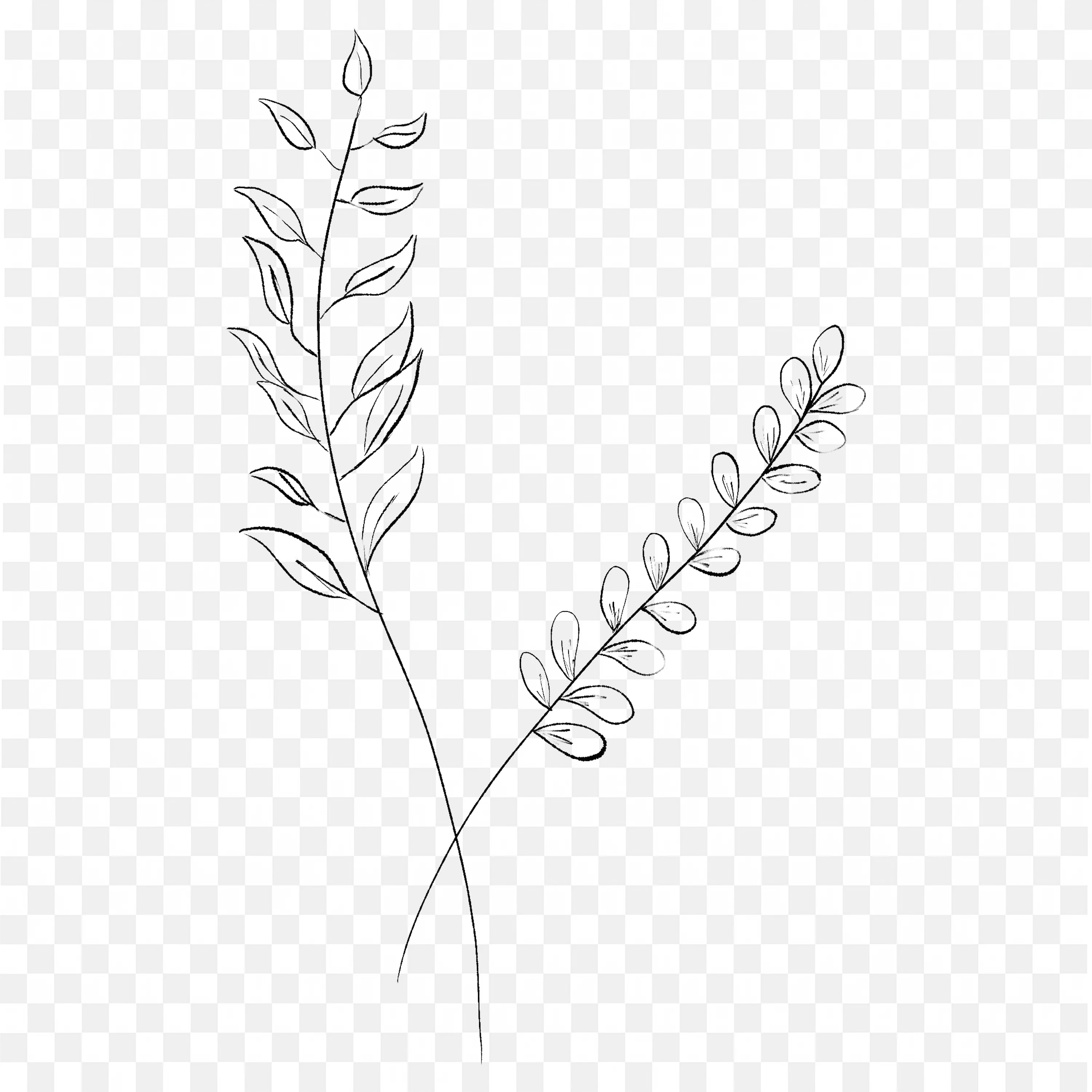 Botanical Leaf Sketch PNG Nature Drawing Art Line Design