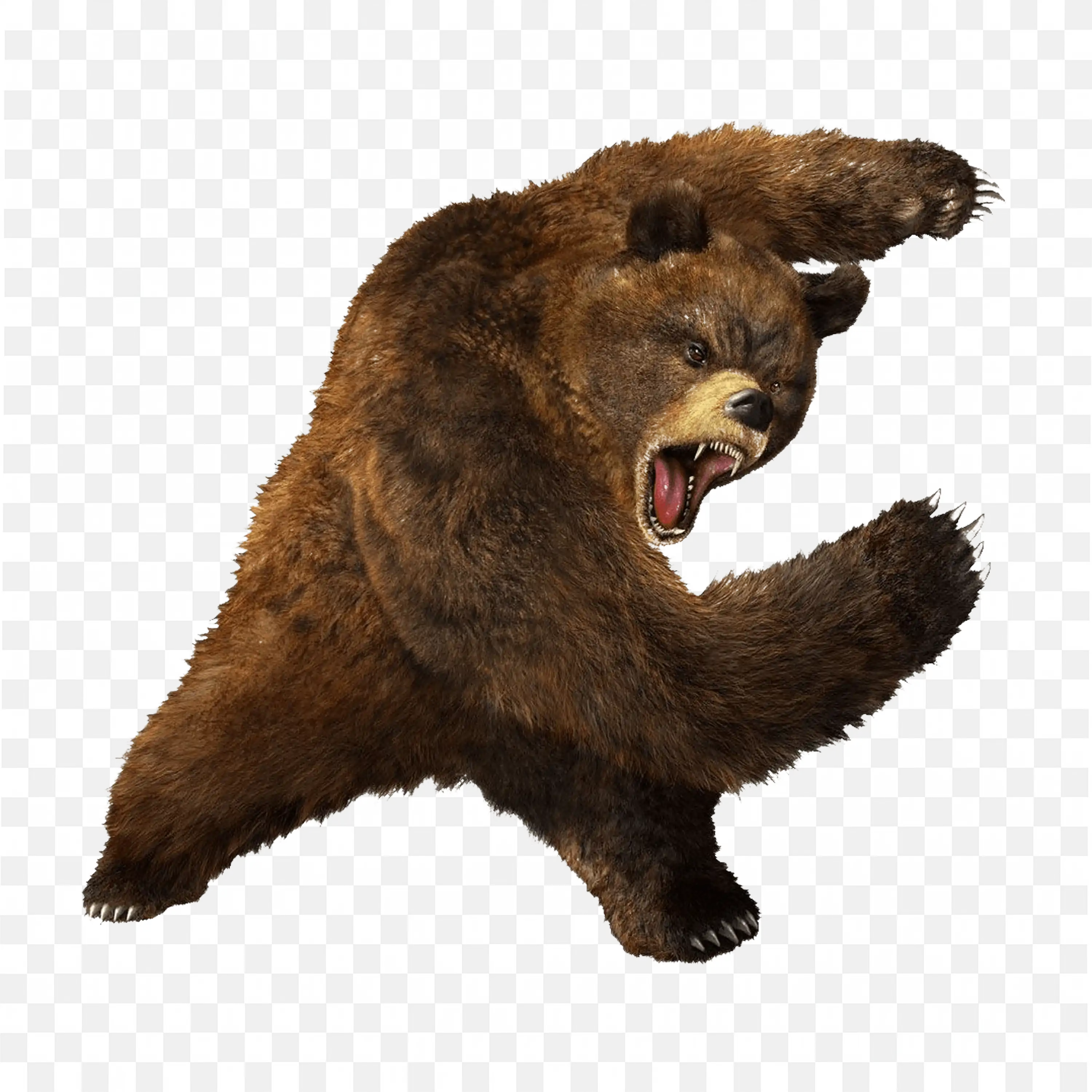 Brown Bear Growling PNG Aggressive Wildlife Clipart Art
